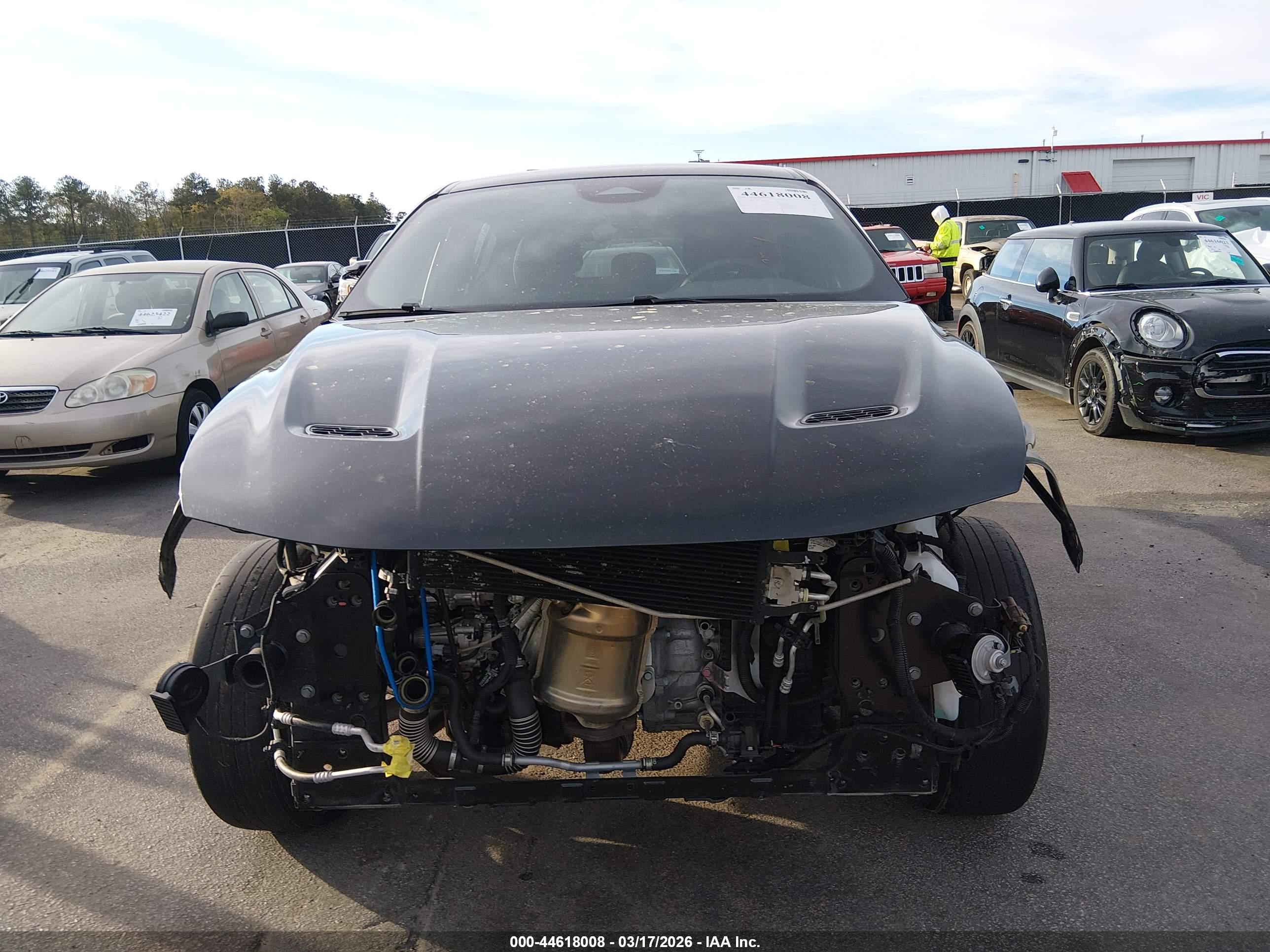 DODGE HORNET image 6