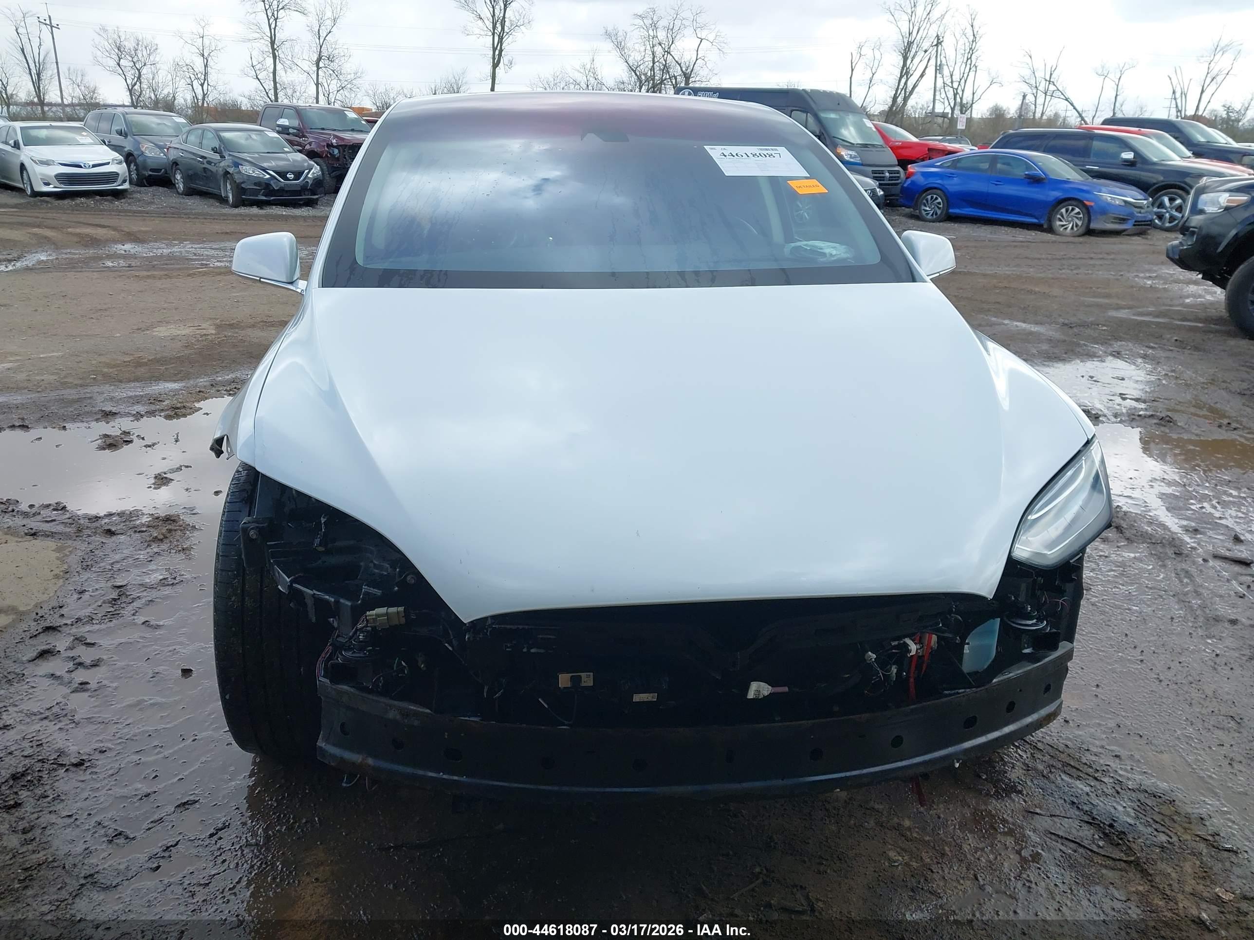 TESLA MODEL image 6