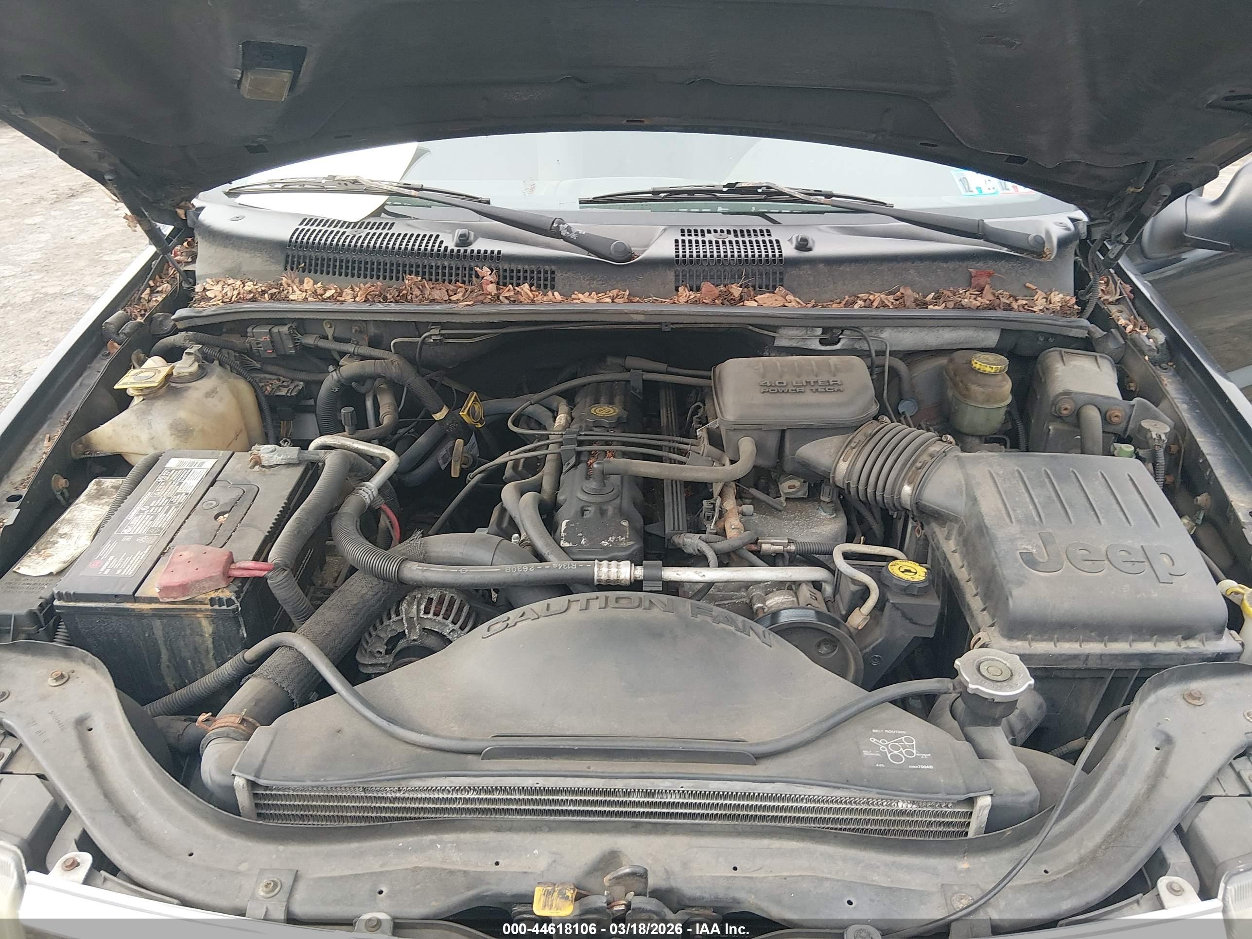 JEEP GRAND image 10
