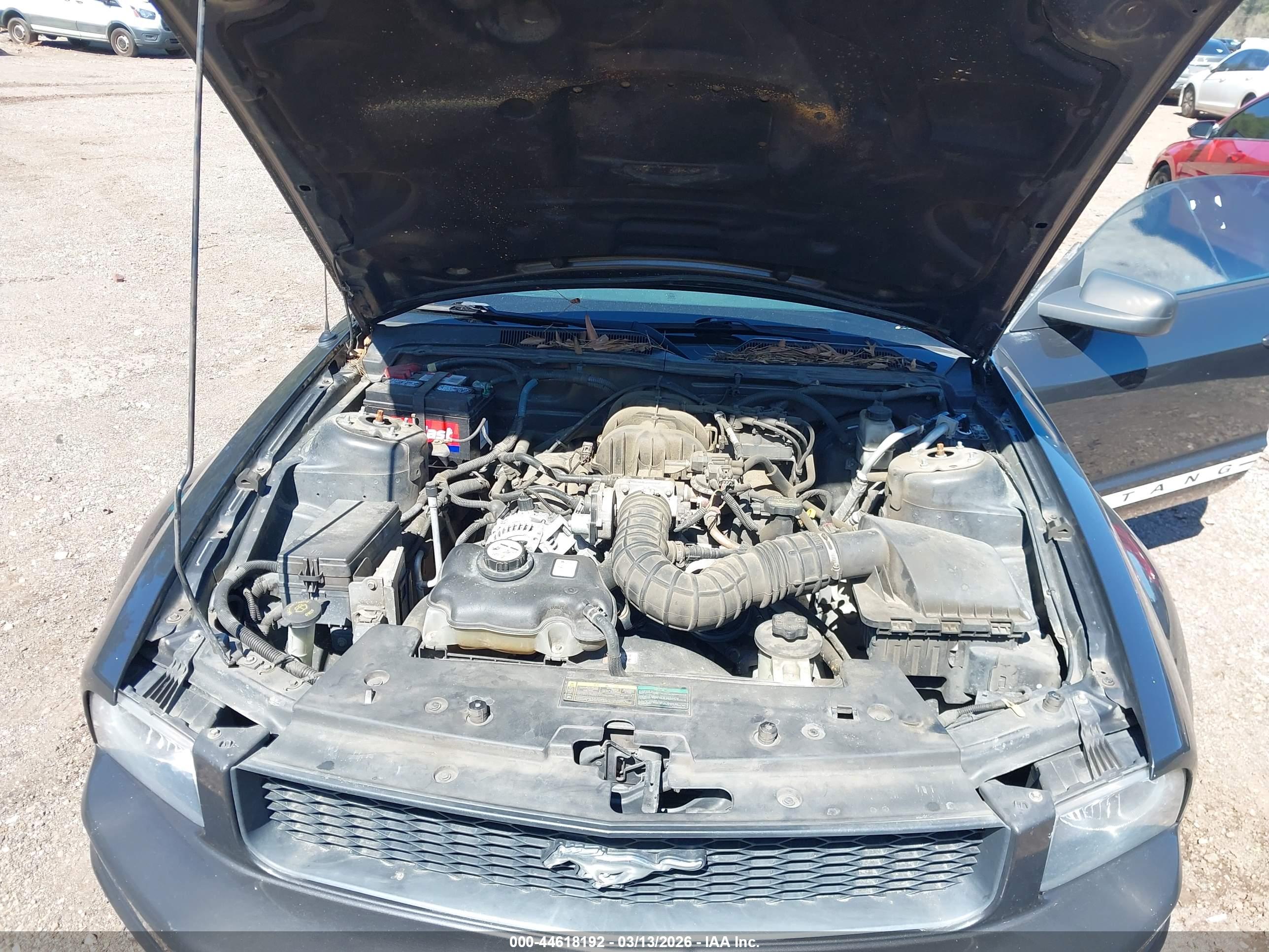 FORD MUSTANG image 10