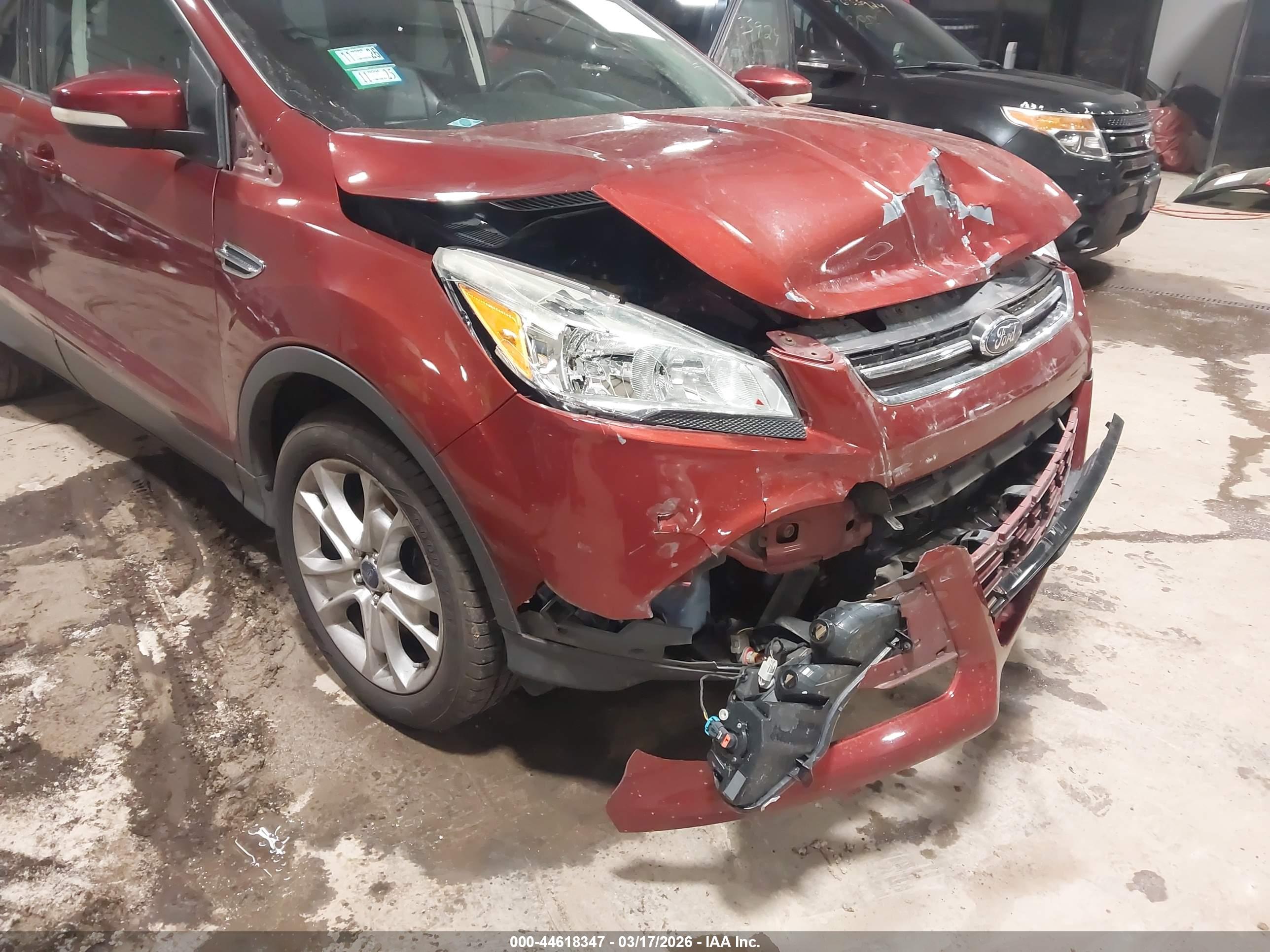 FORD ESCAPE image 6