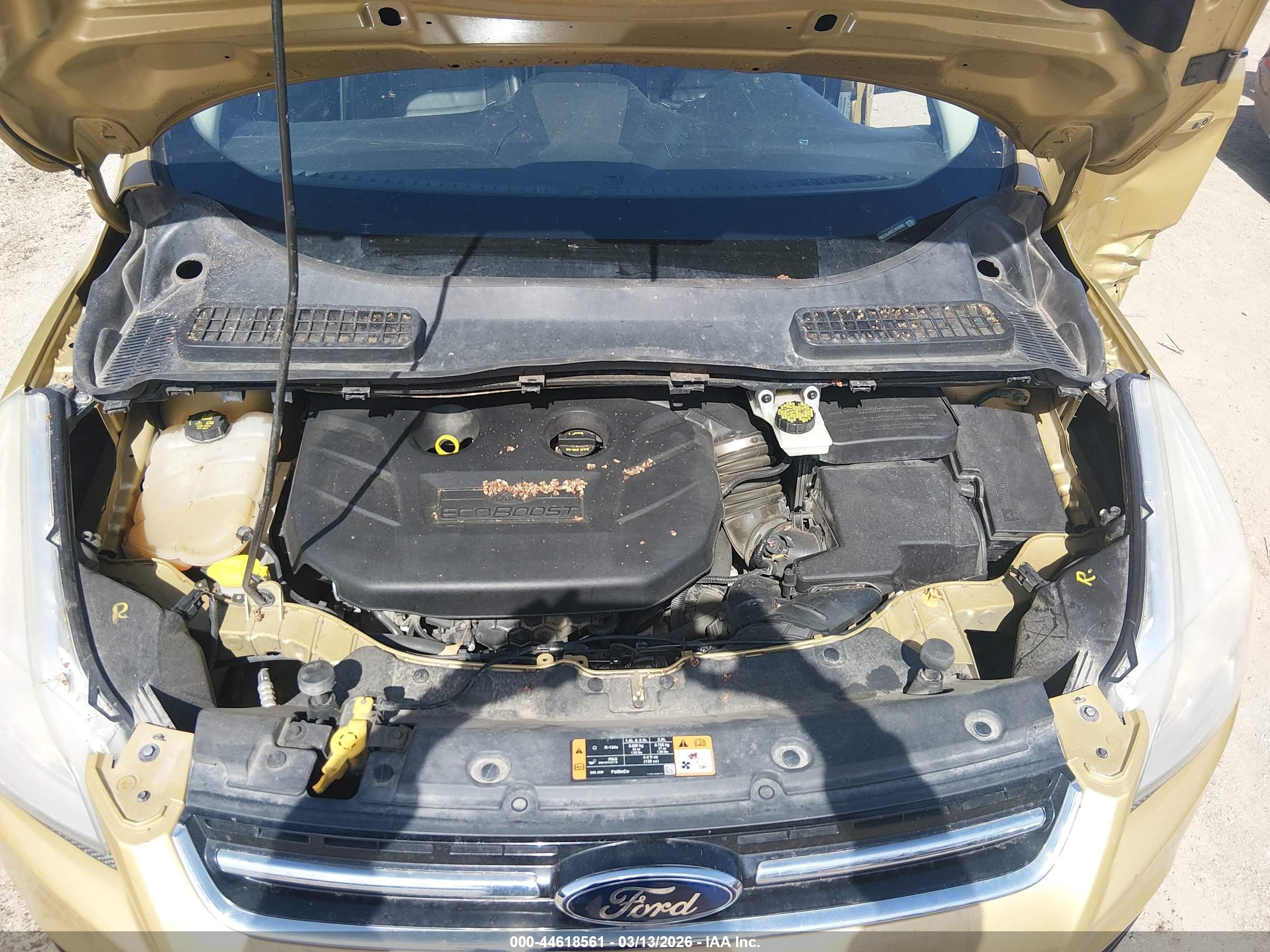 FORD ESCAPE image 10