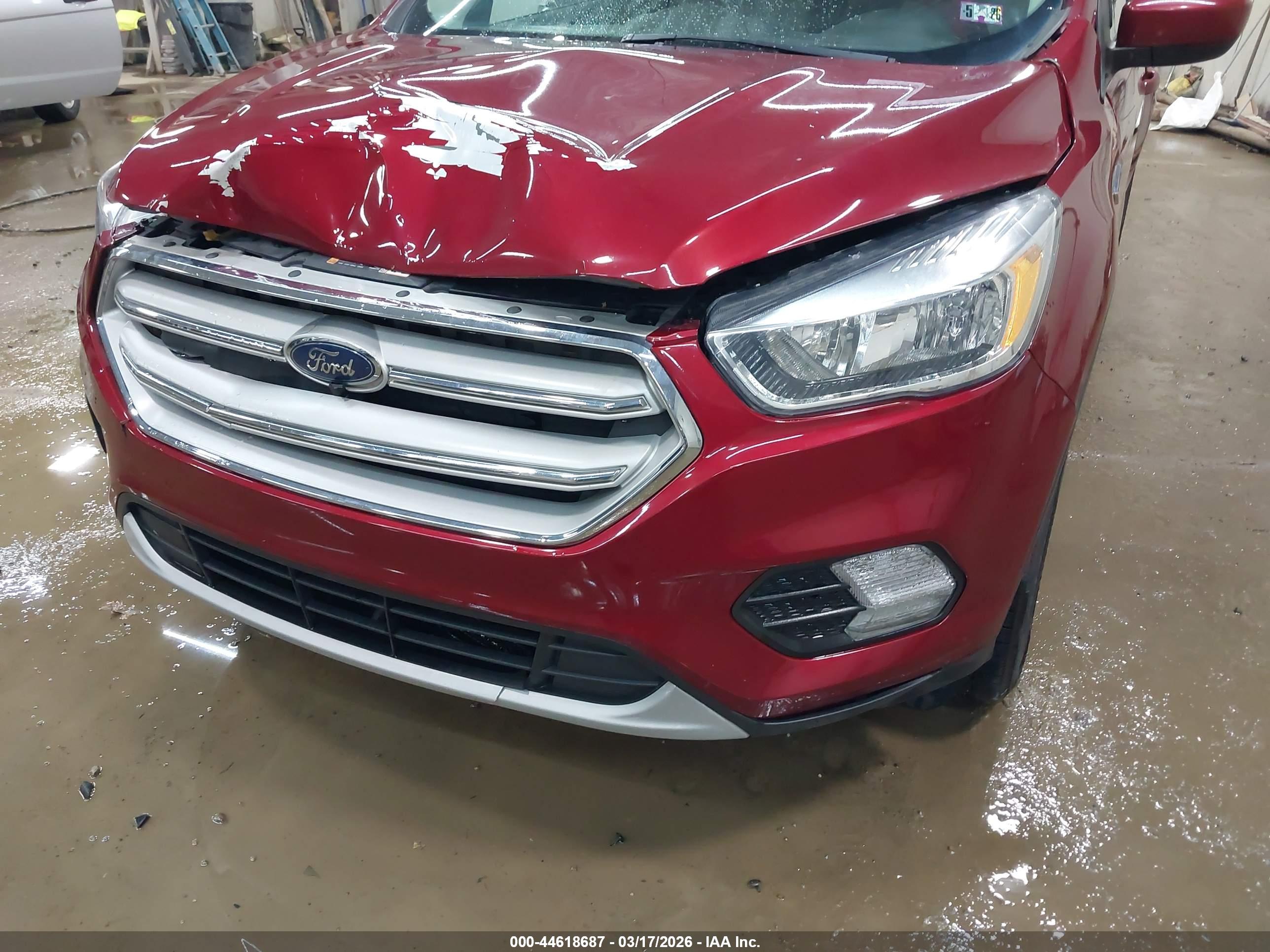 FORD ESCAPE image 6