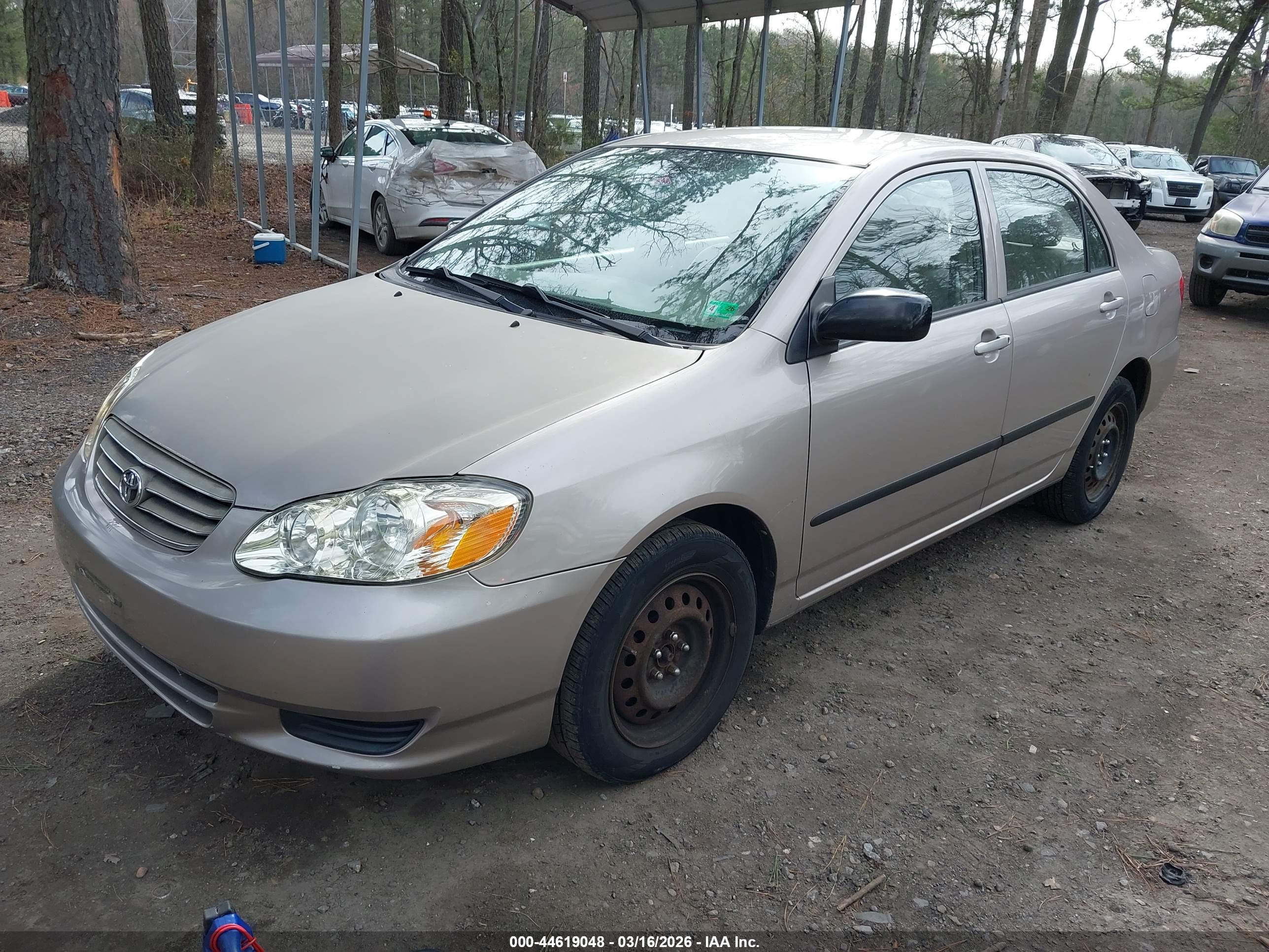 TOYOTA COROLLA image 2