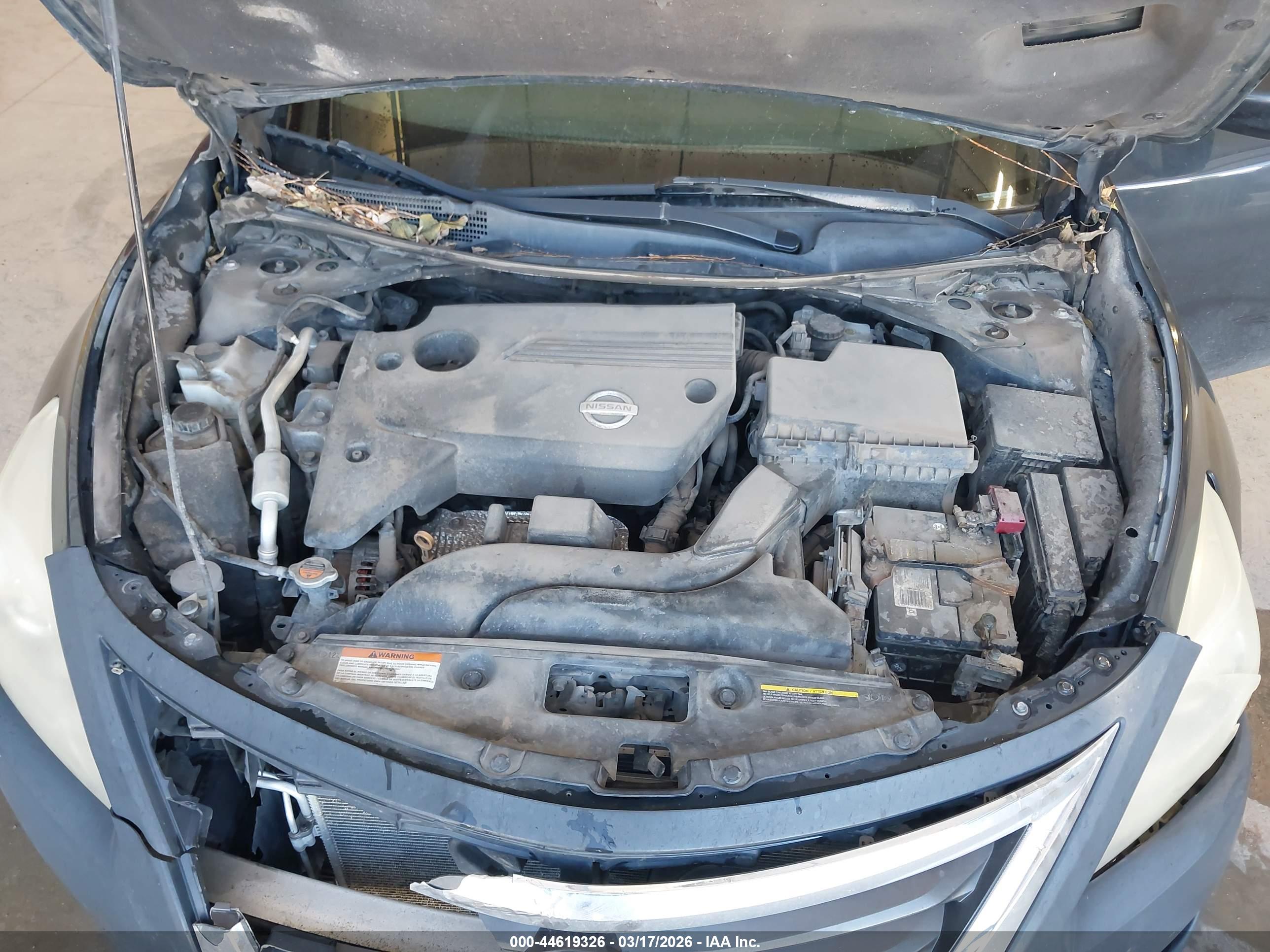 NISSAN ALTIMA image 10