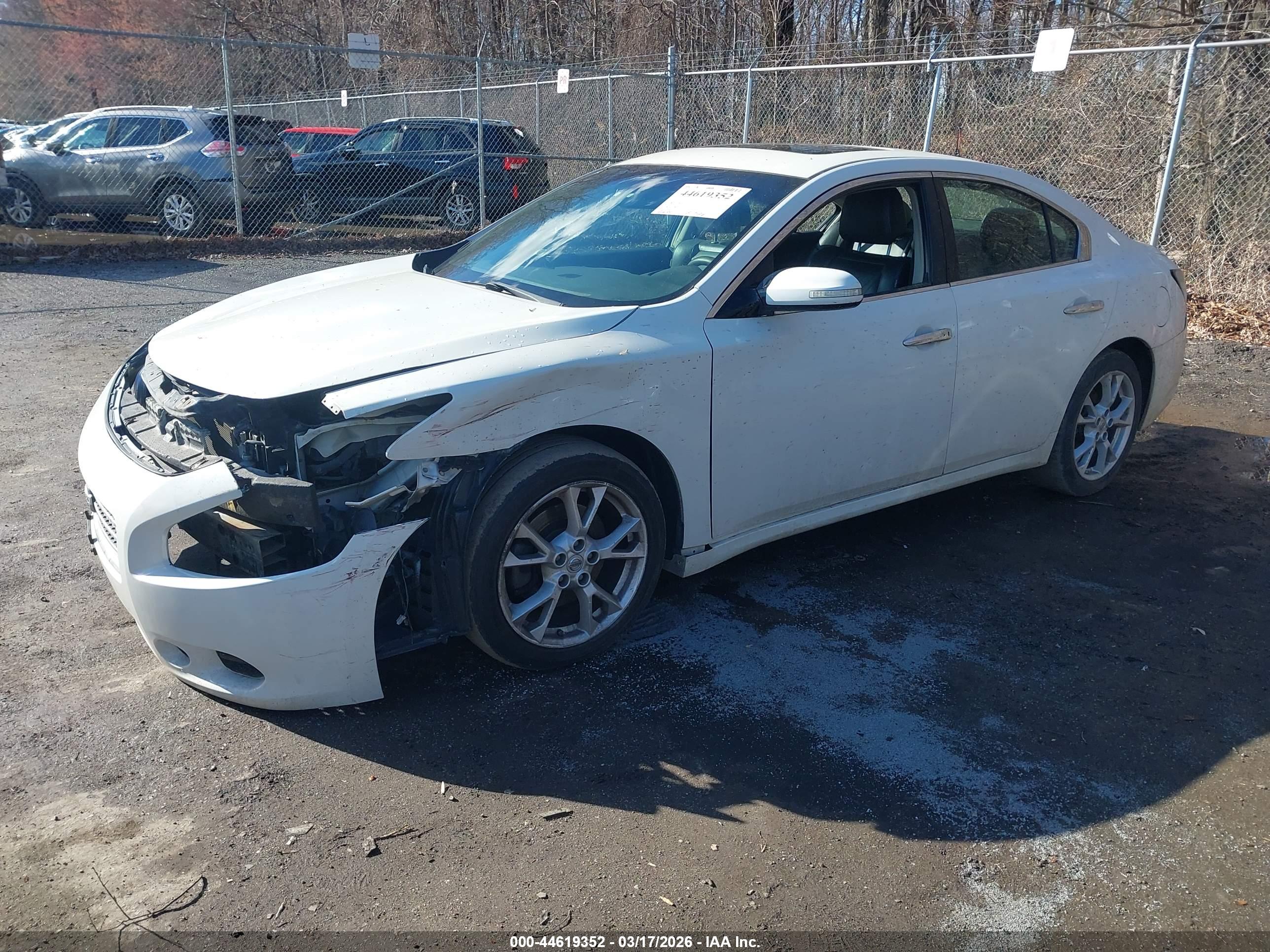 NISSAN MAXIMA image 2