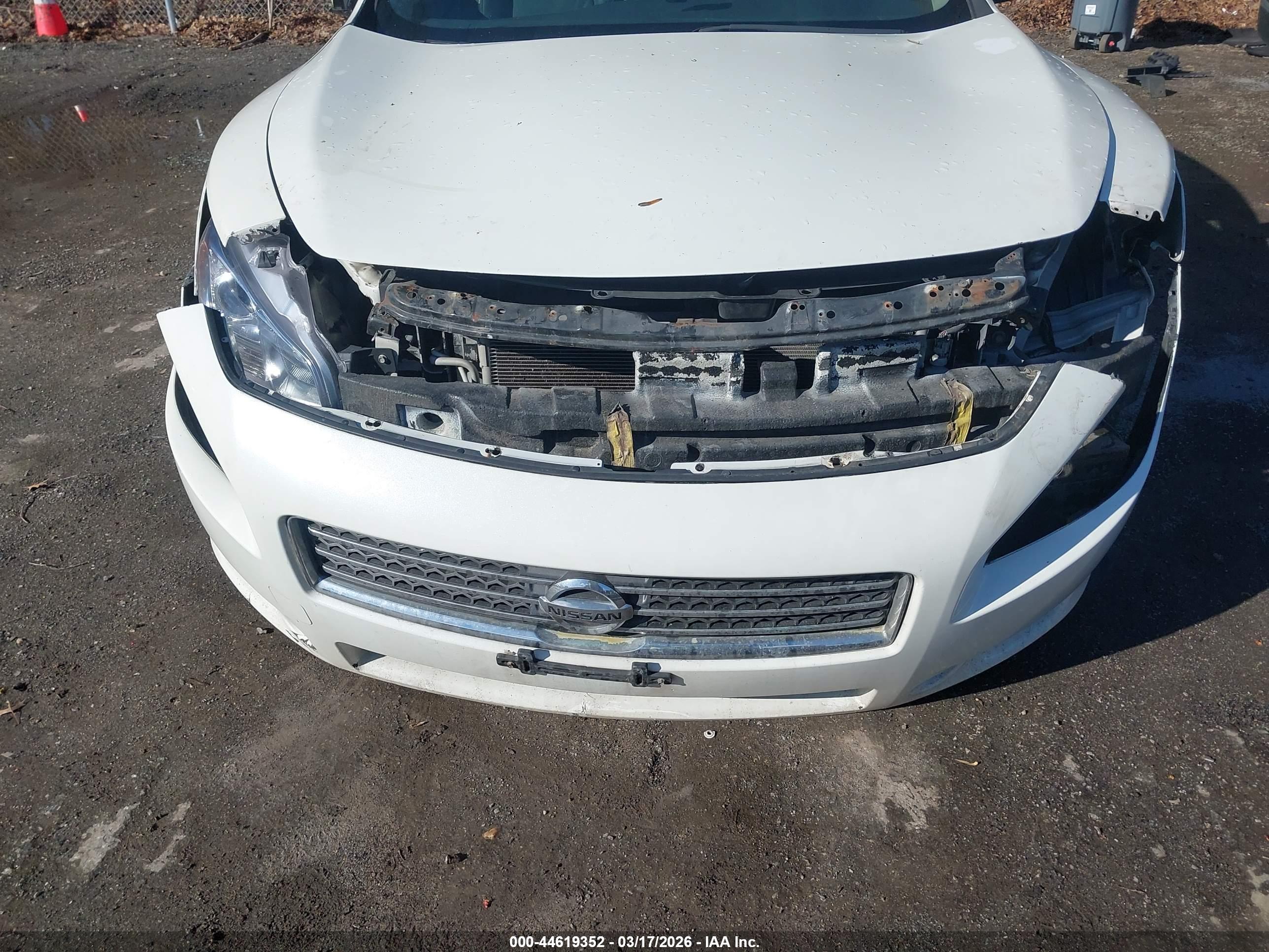 NISSAN MAXIMA image 6