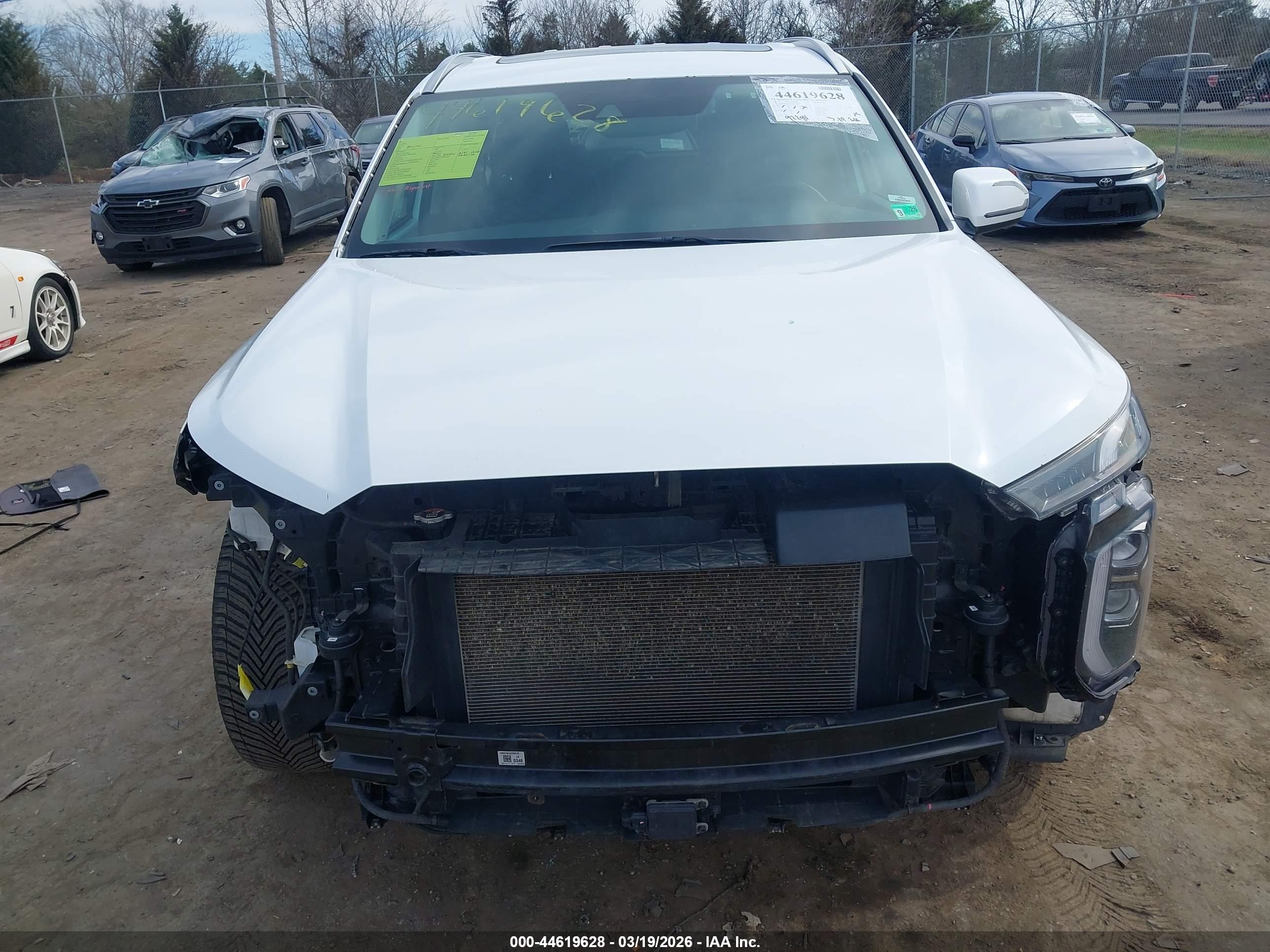 HYUNDAI PALISADE image 6