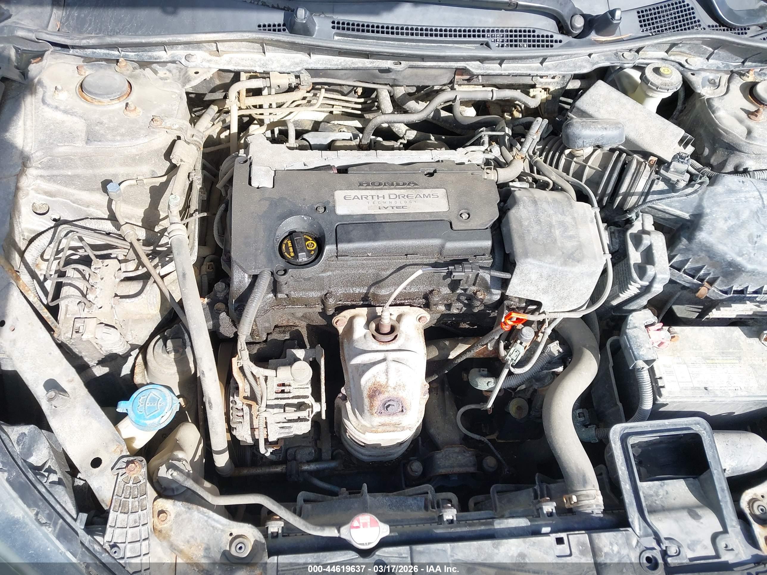 HONDA ACCORD image 10