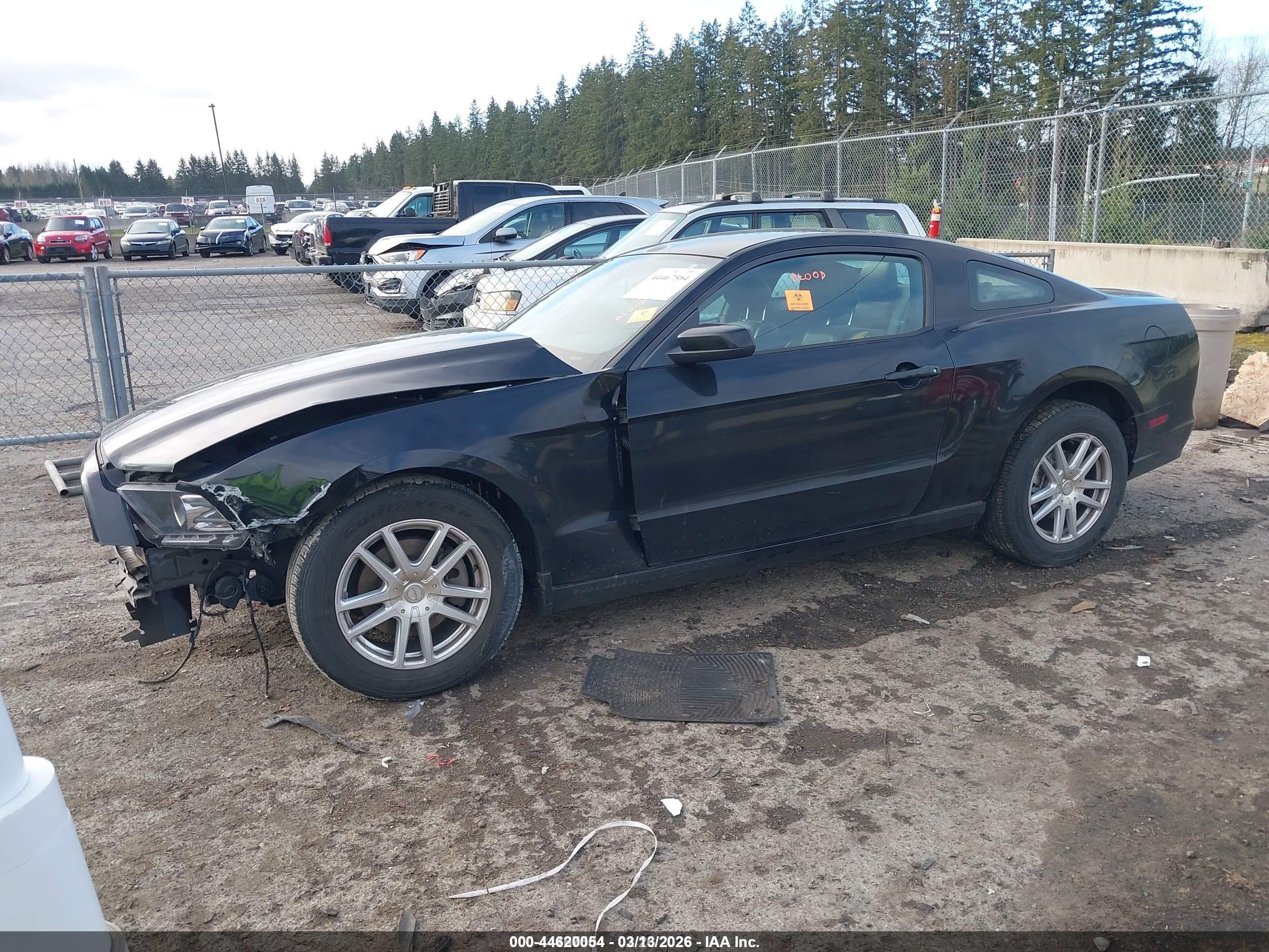 FORD MUSTANG image 2