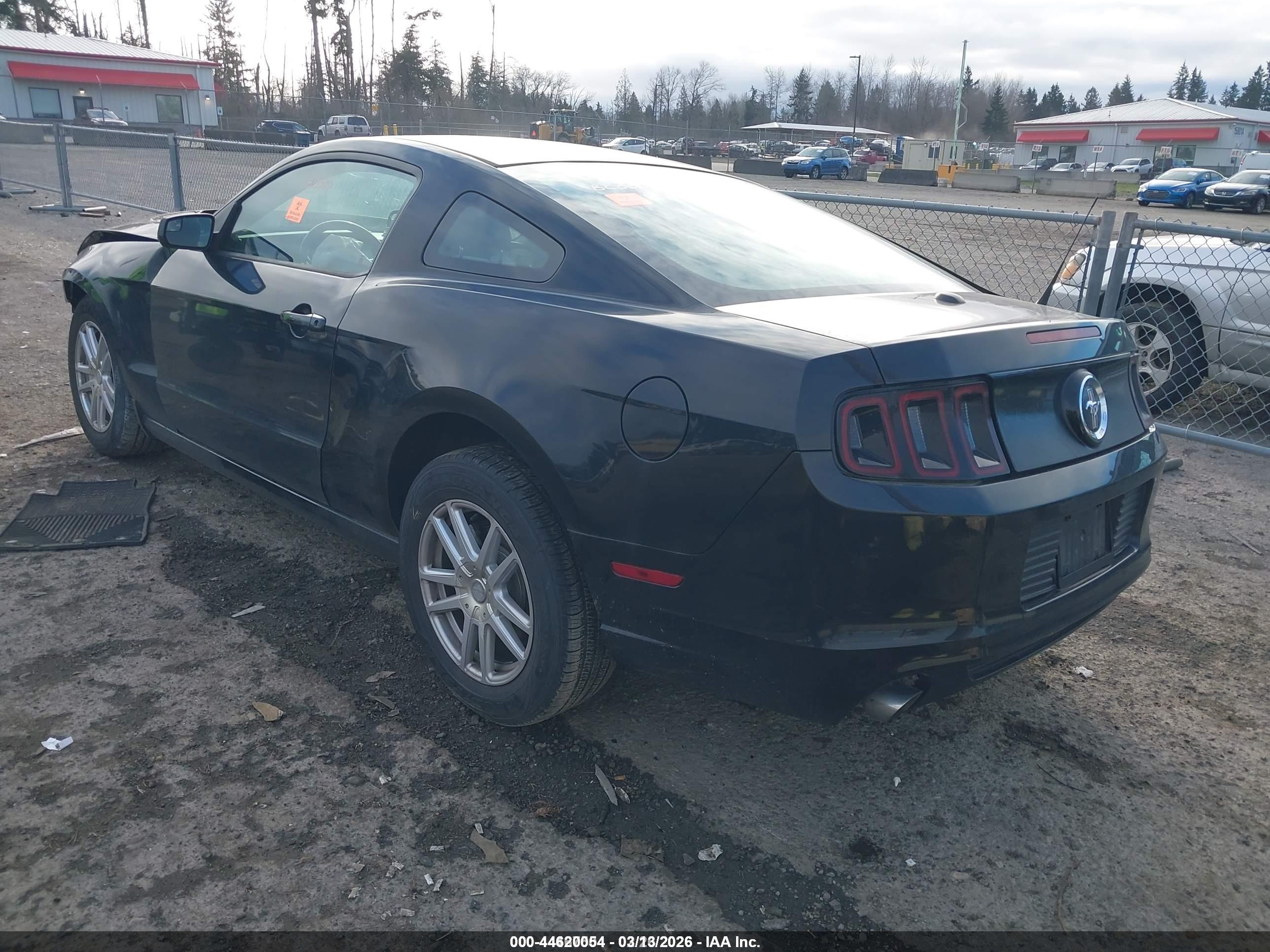 FORD MUSTANG image 3