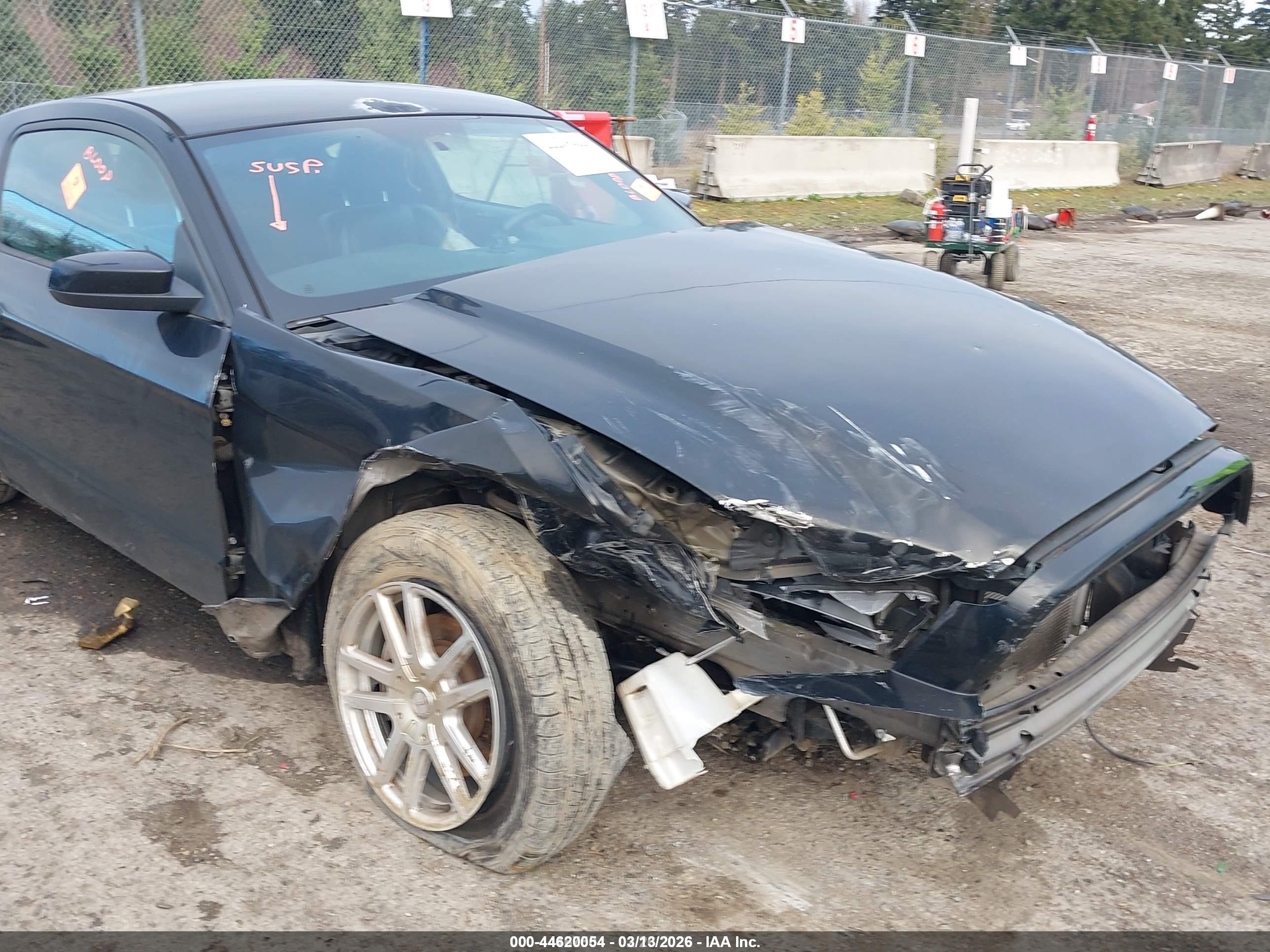 FORD MUSTANG image 6