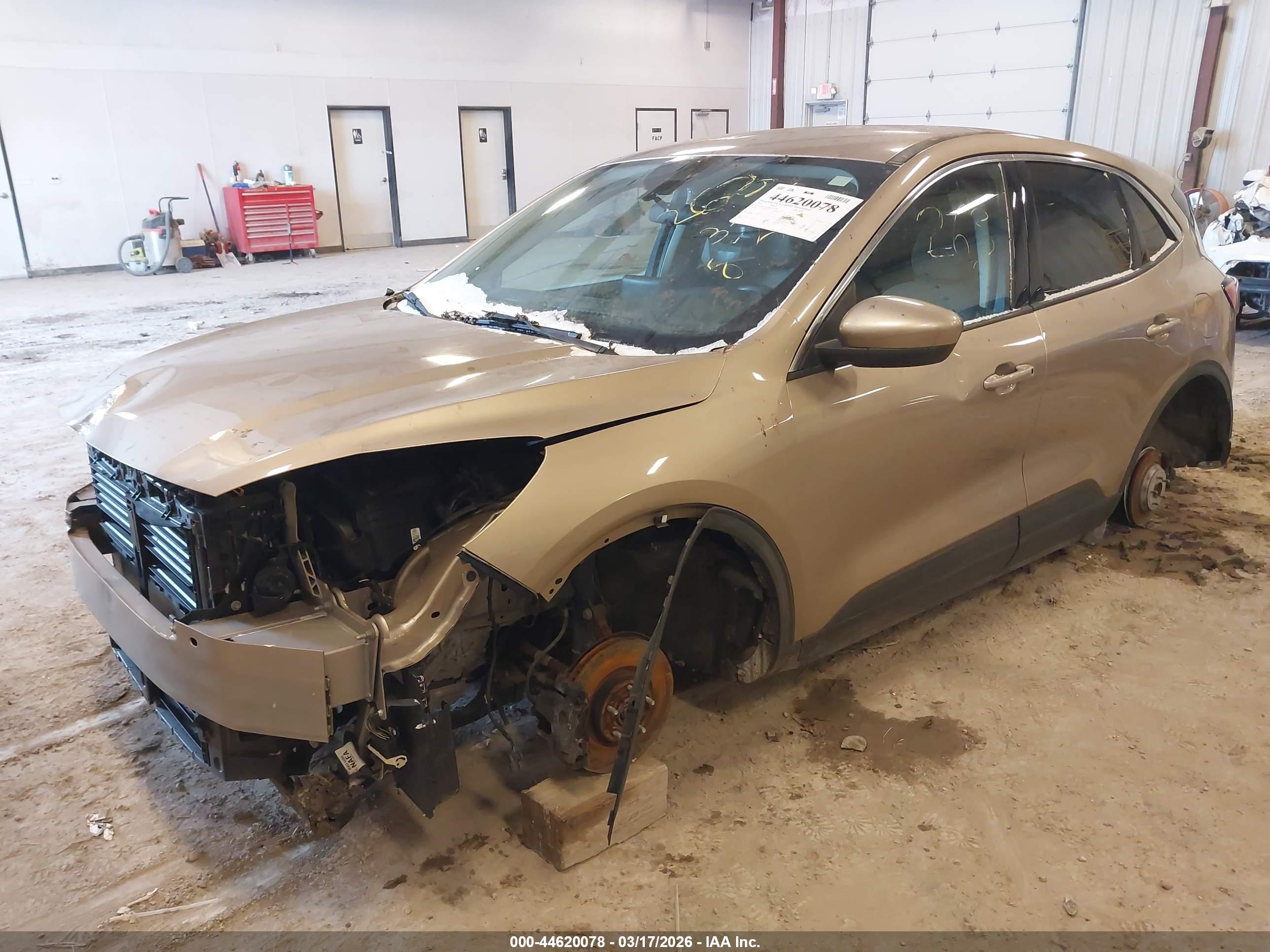 FORD ESCAPE image 2