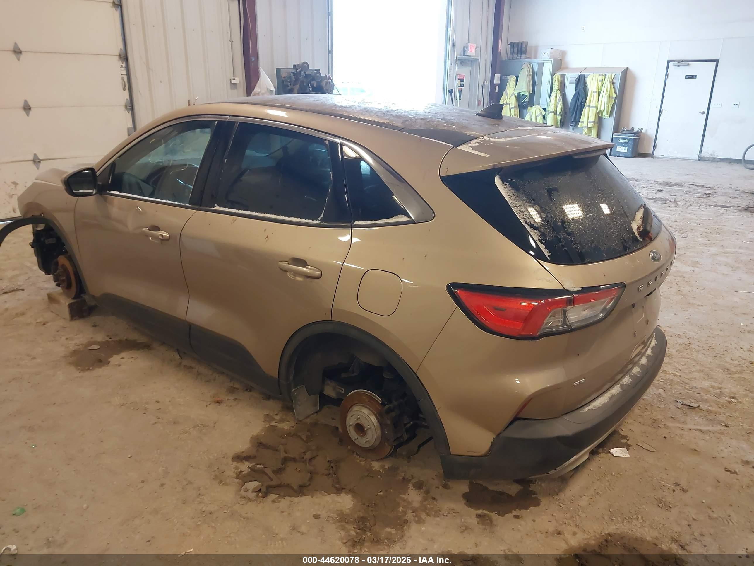 FORD ESCAPE image 3