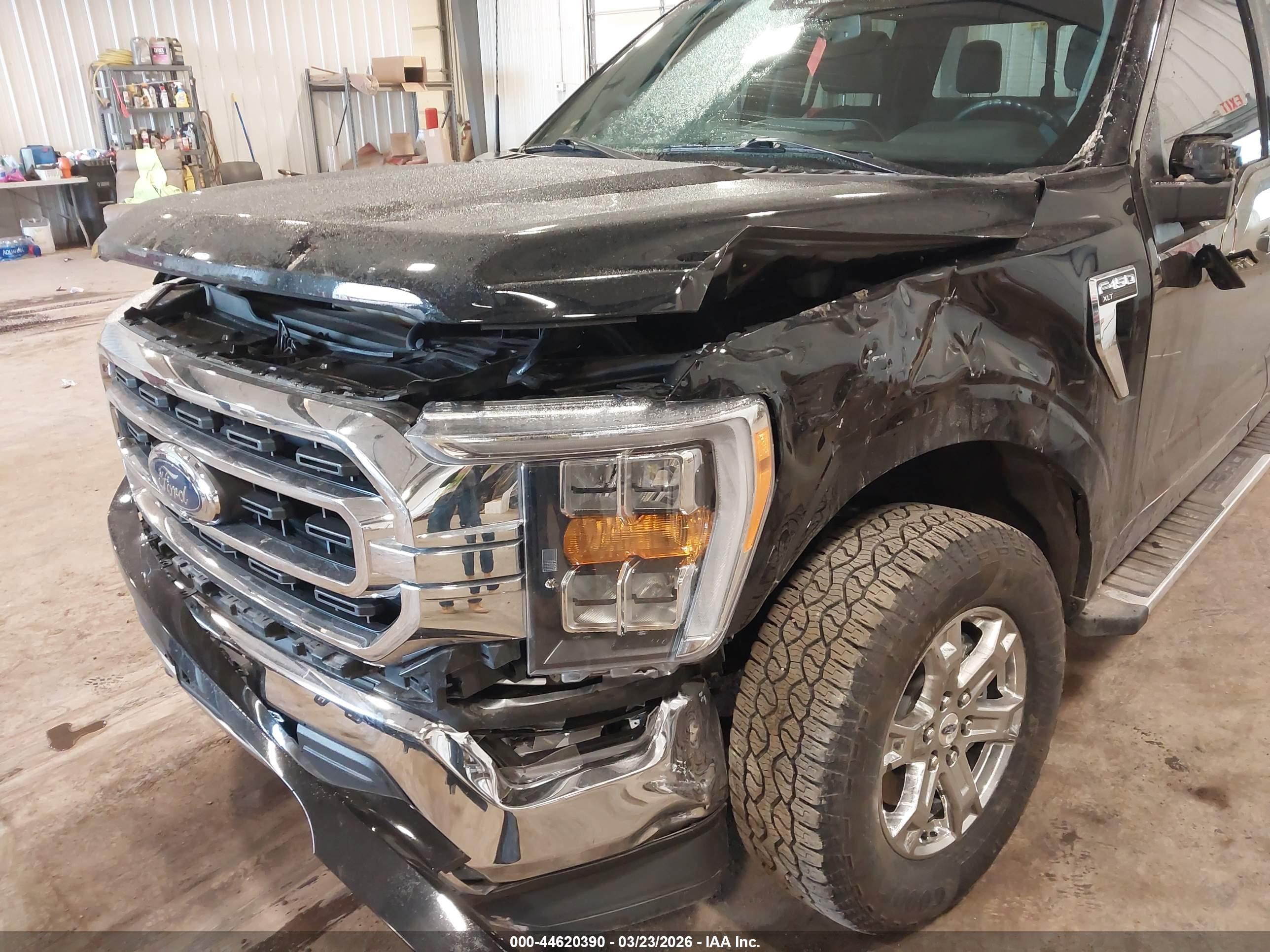 FORD F-150 image 6