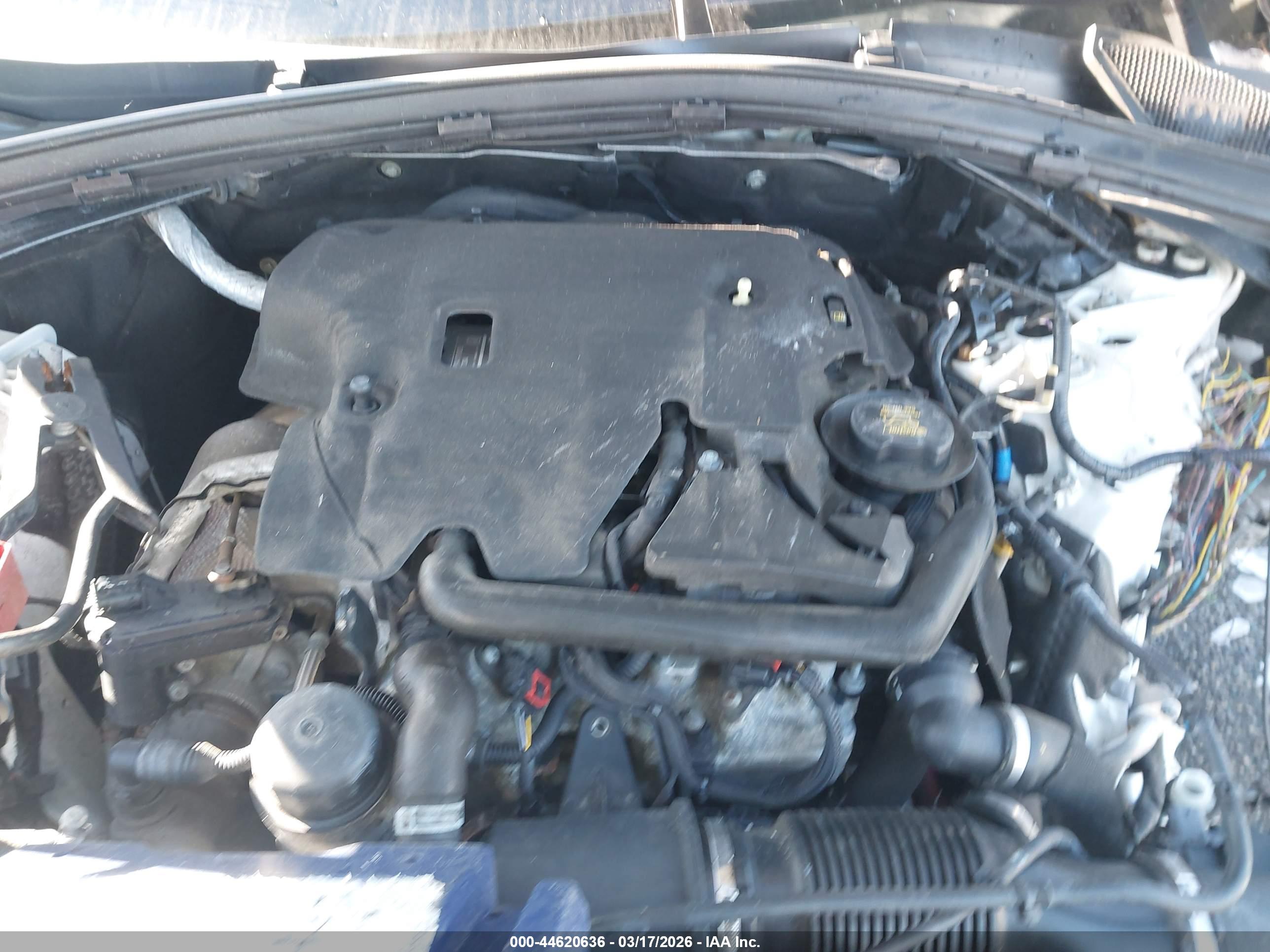 LAND ROVER image 10