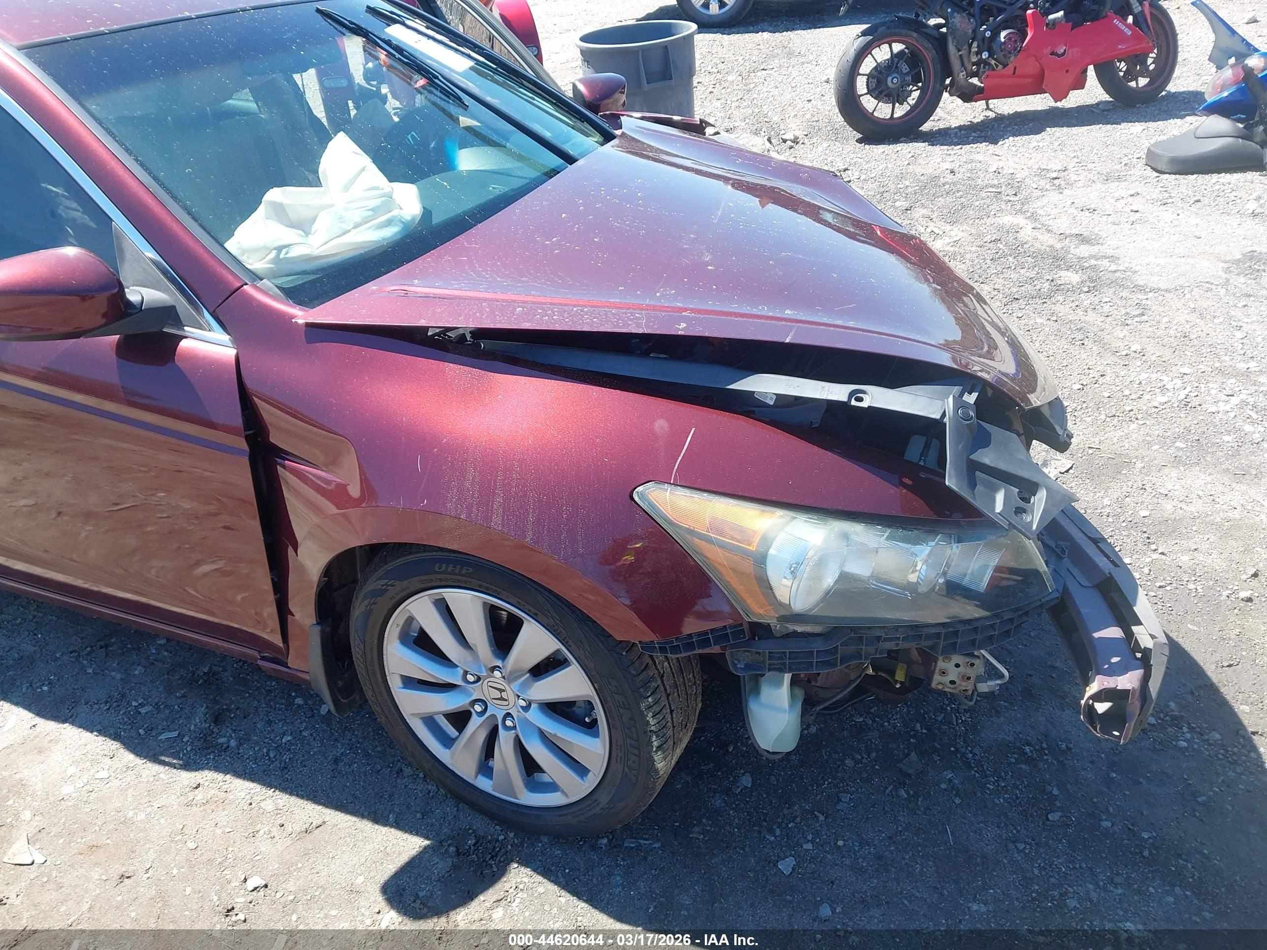 HONDA ACCORD image 6