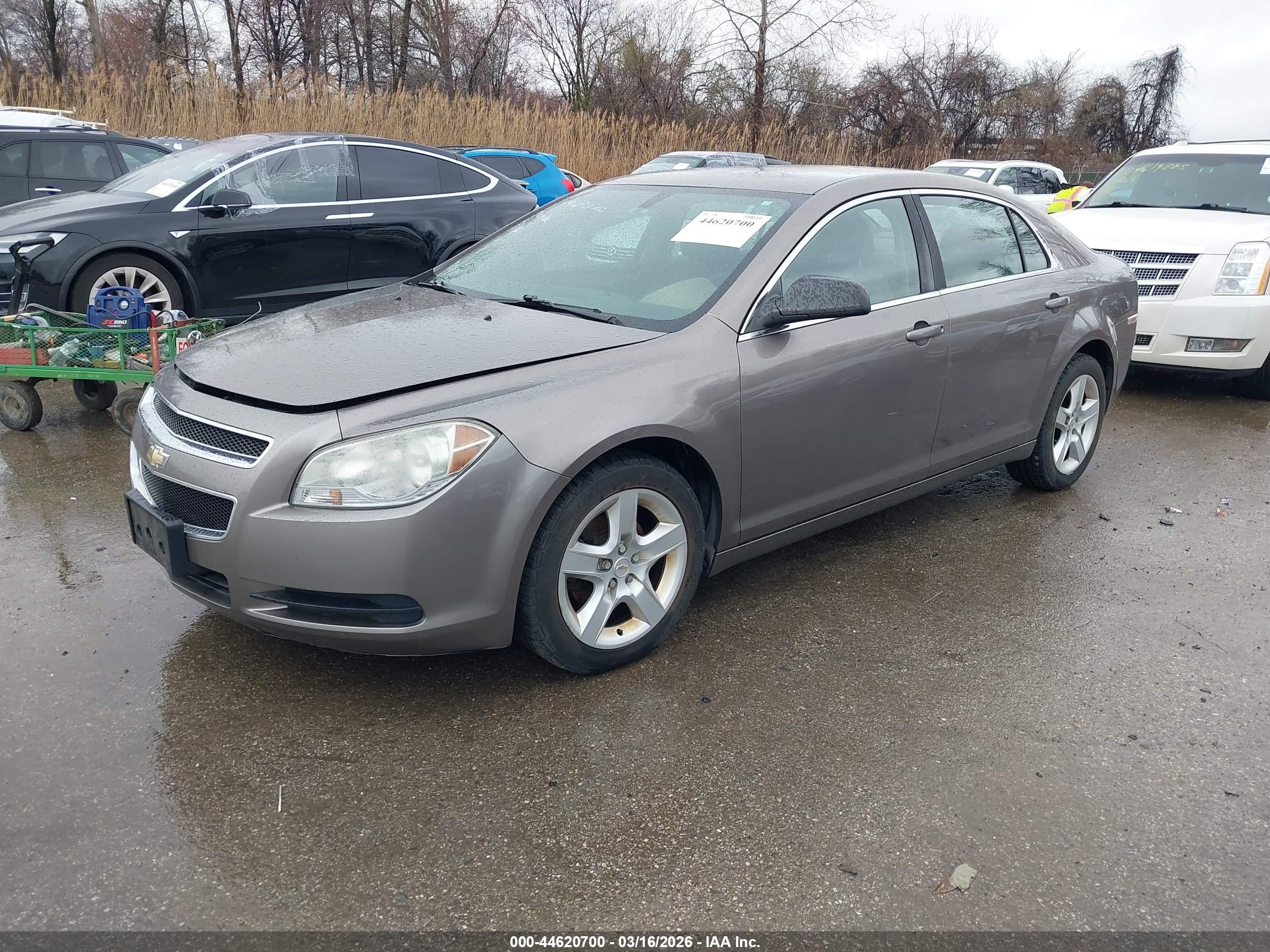 CHEVROLET MALIBU image 2
