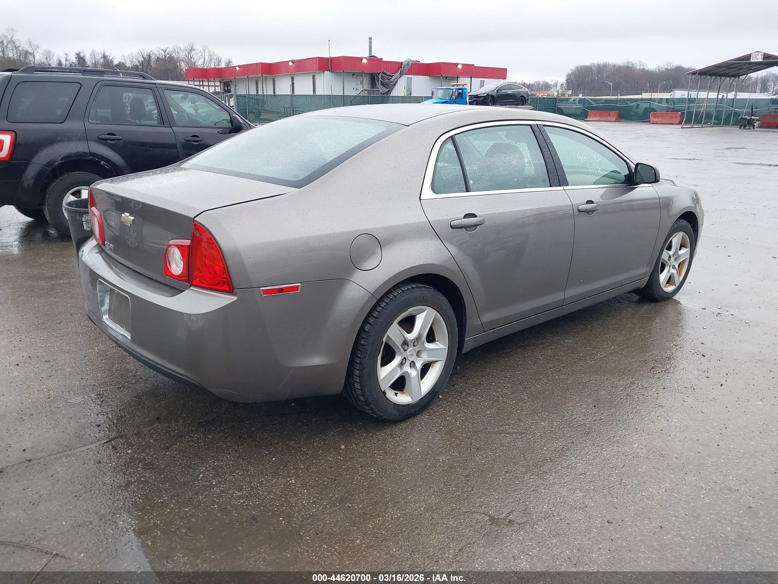 CHEVROLET MALIBU image 4
