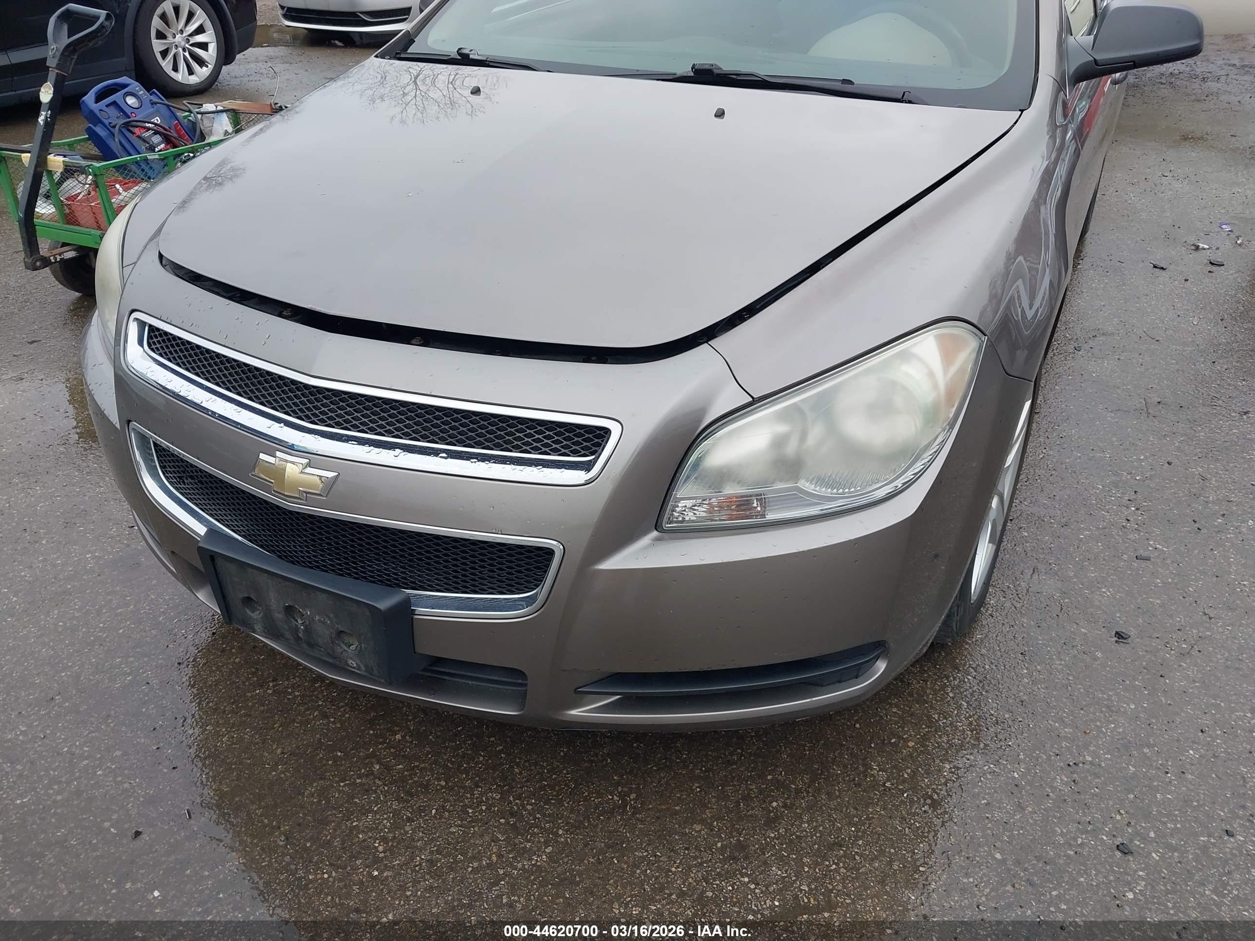 CHEVROLET MALIBU image 6
