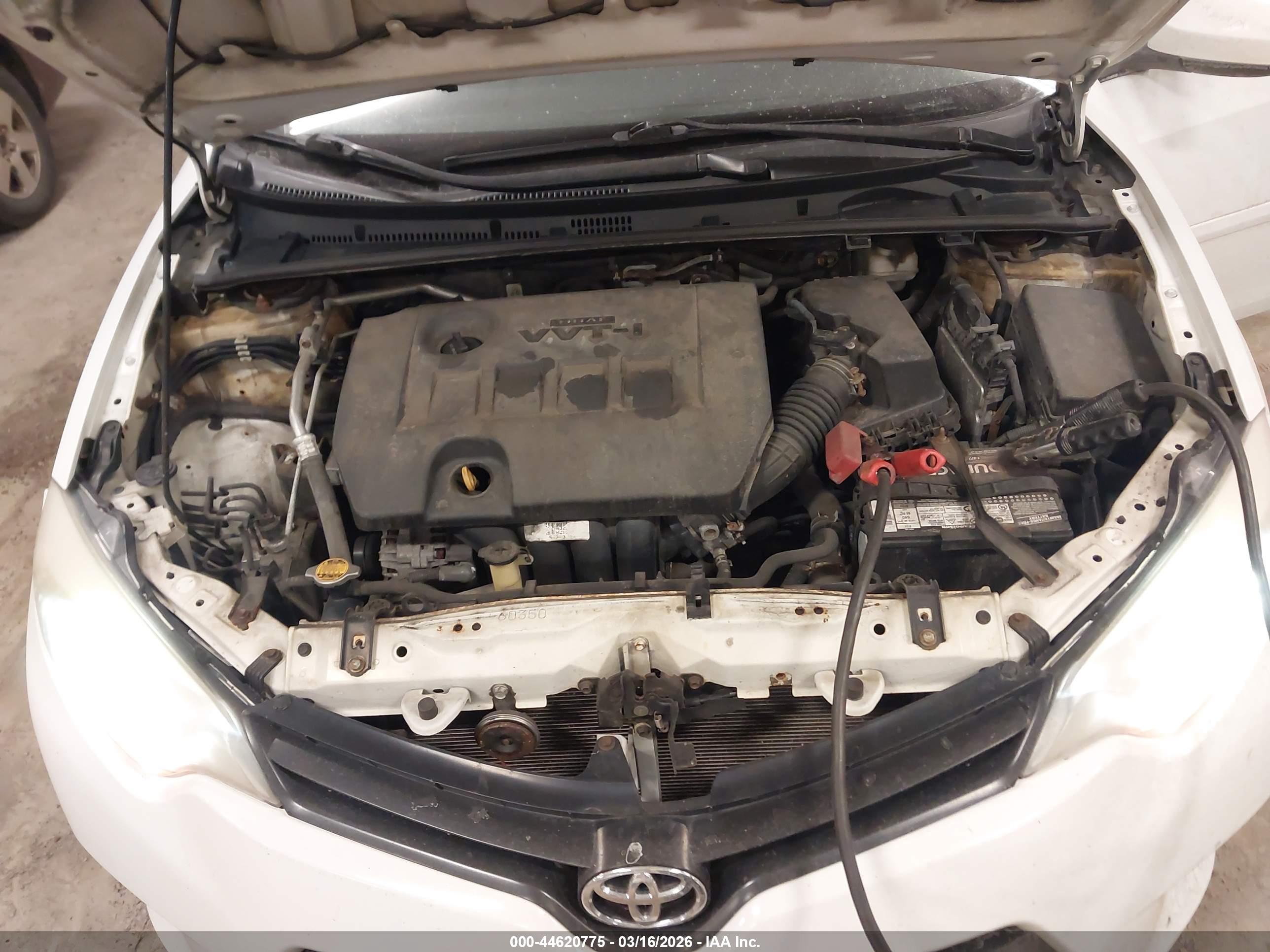 TOYOTA COROLLA image 10