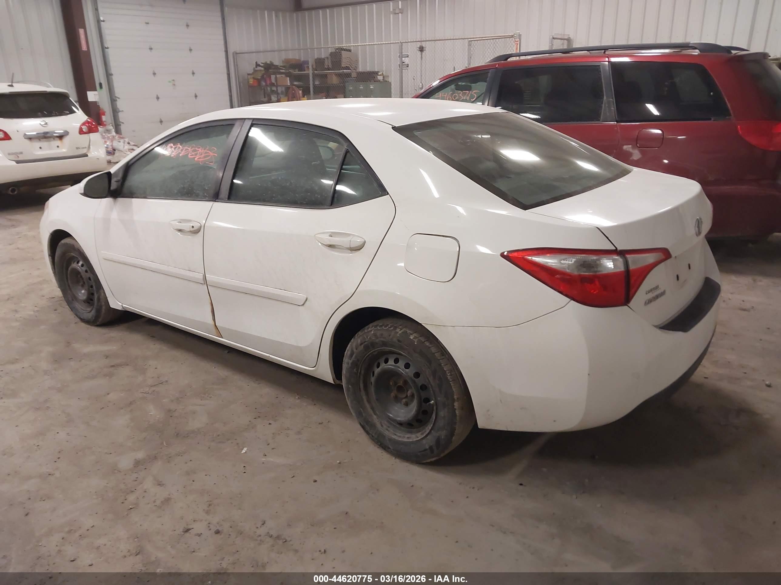 TOYOTA COROLLA image 3