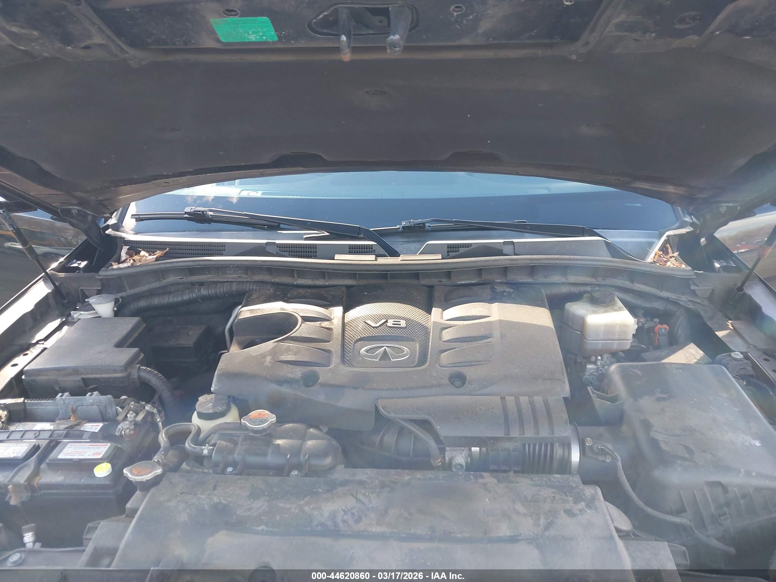 INFINITI QX80 image 10