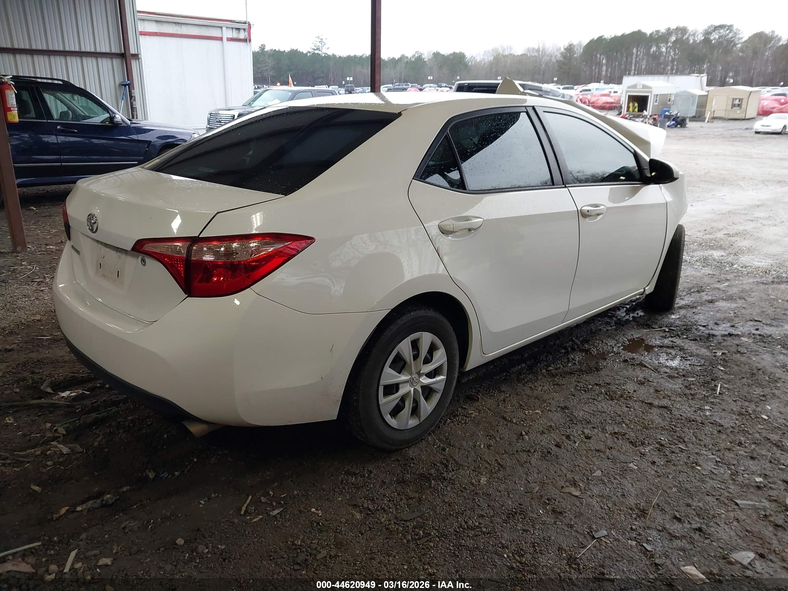 TOYOTA COROLLA image 4