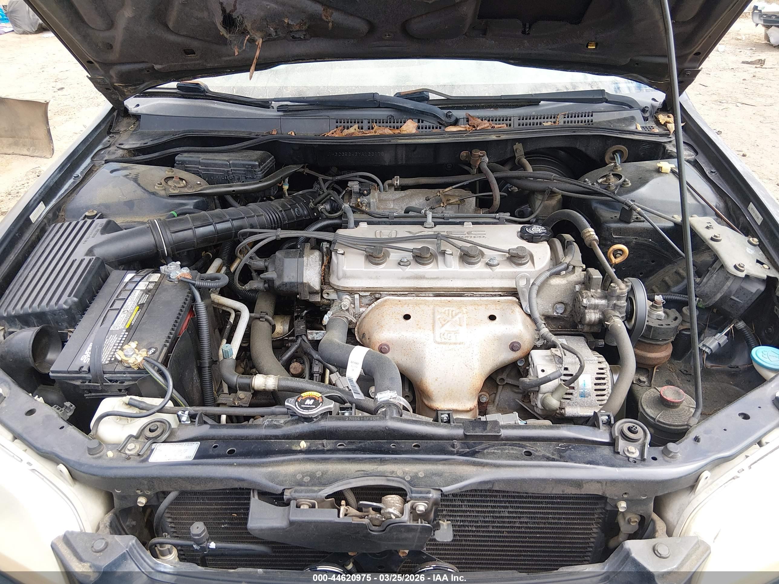 HONDA ACCORD image 10