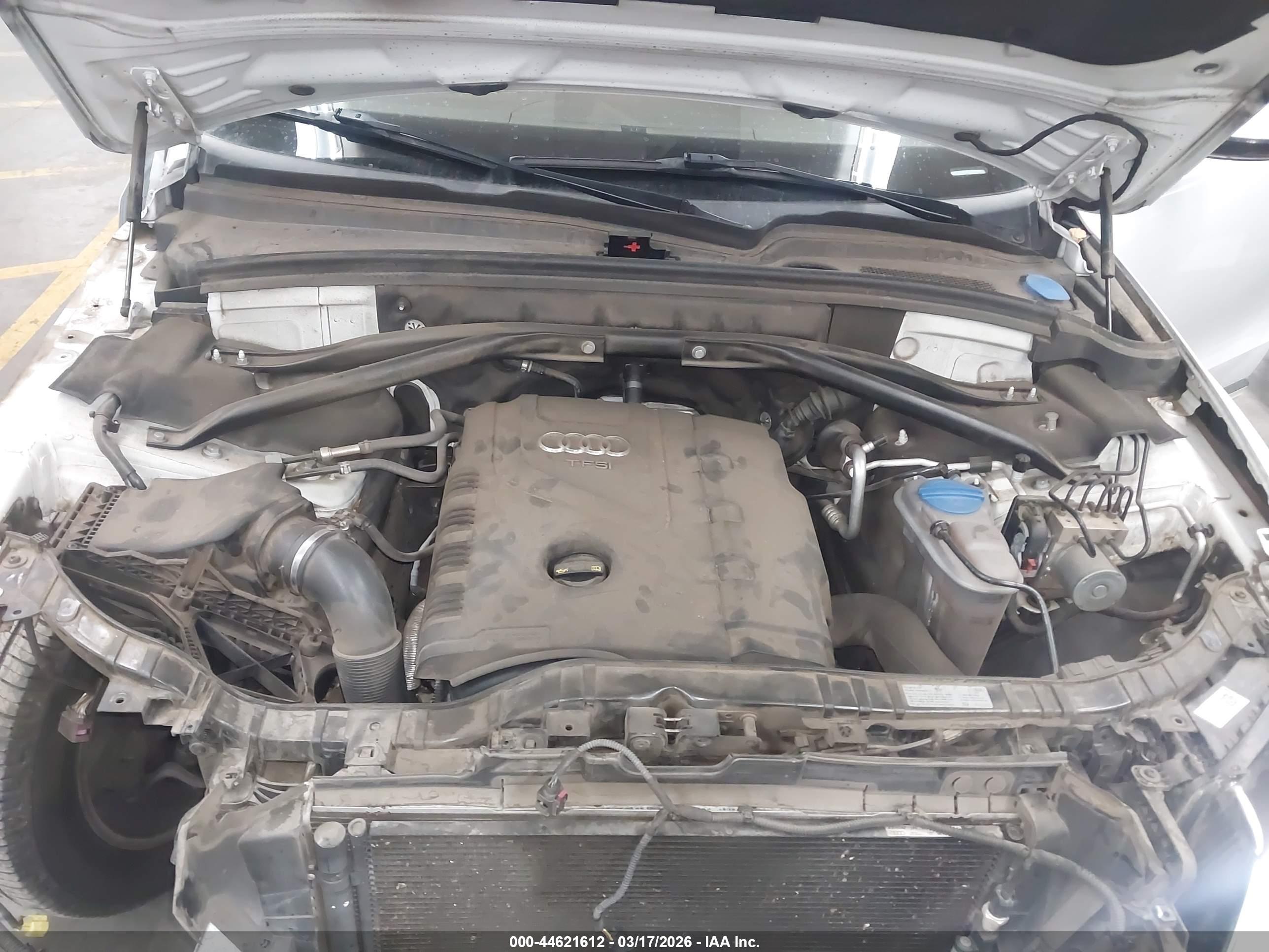 AUDI Q5 image 10