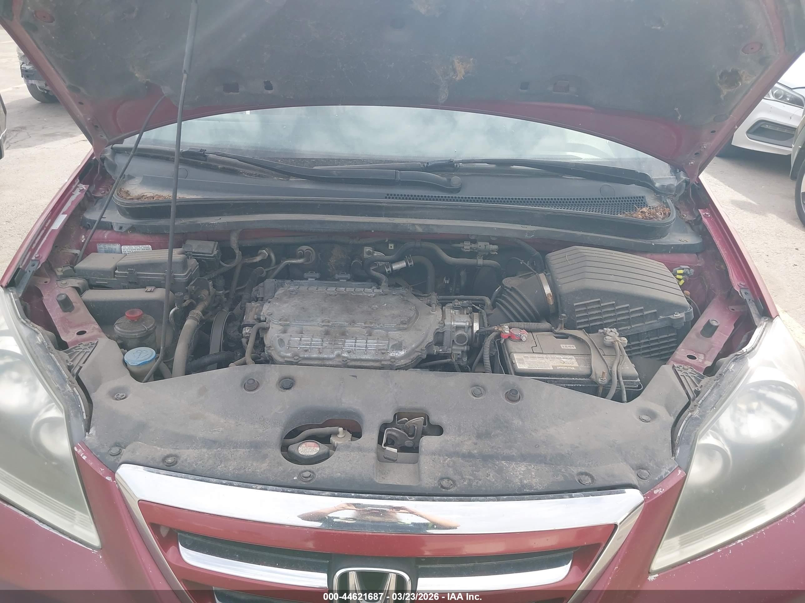 HONDA ODYSSEY image 10