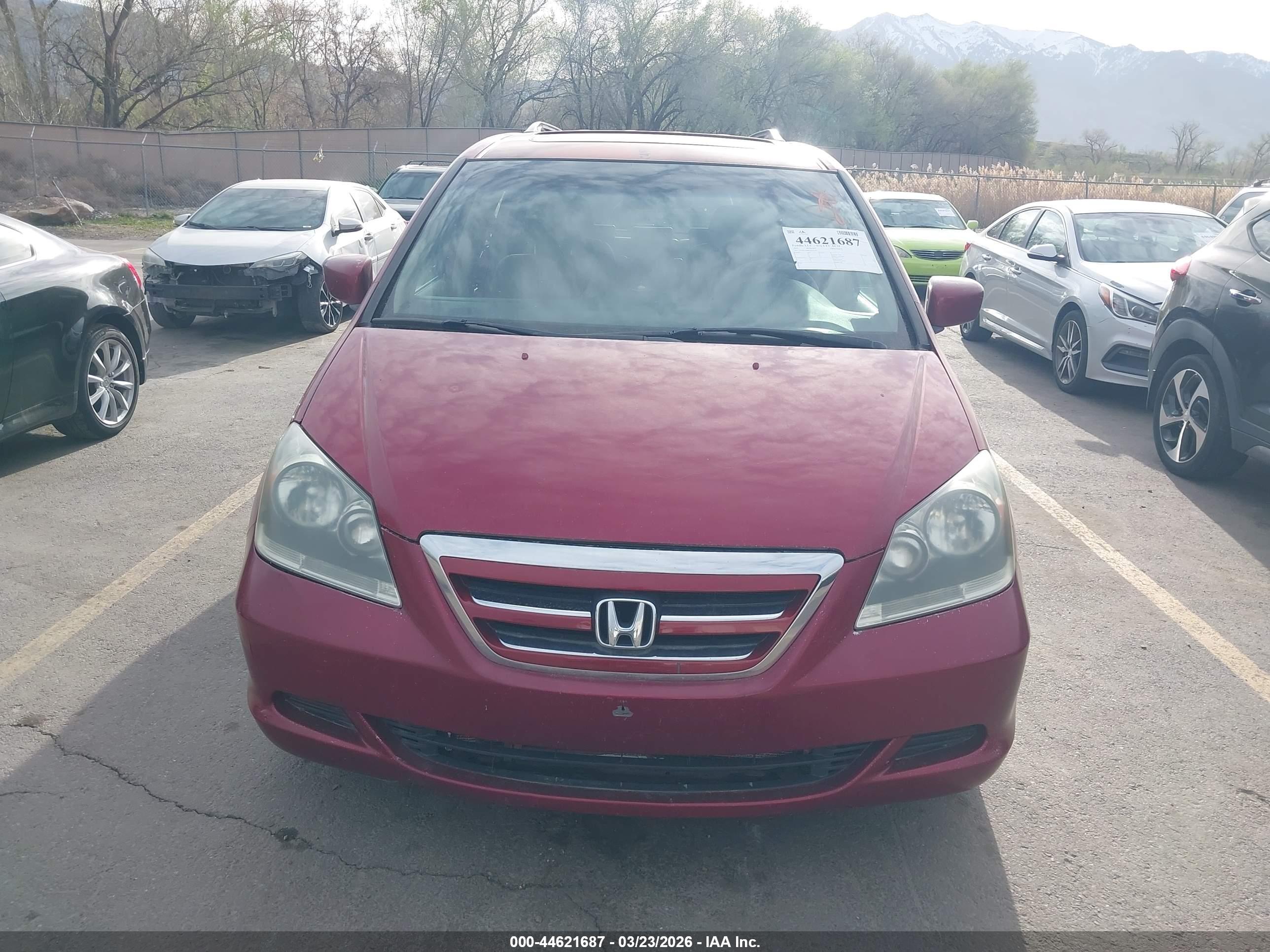HONDA ODYSSEY image 6