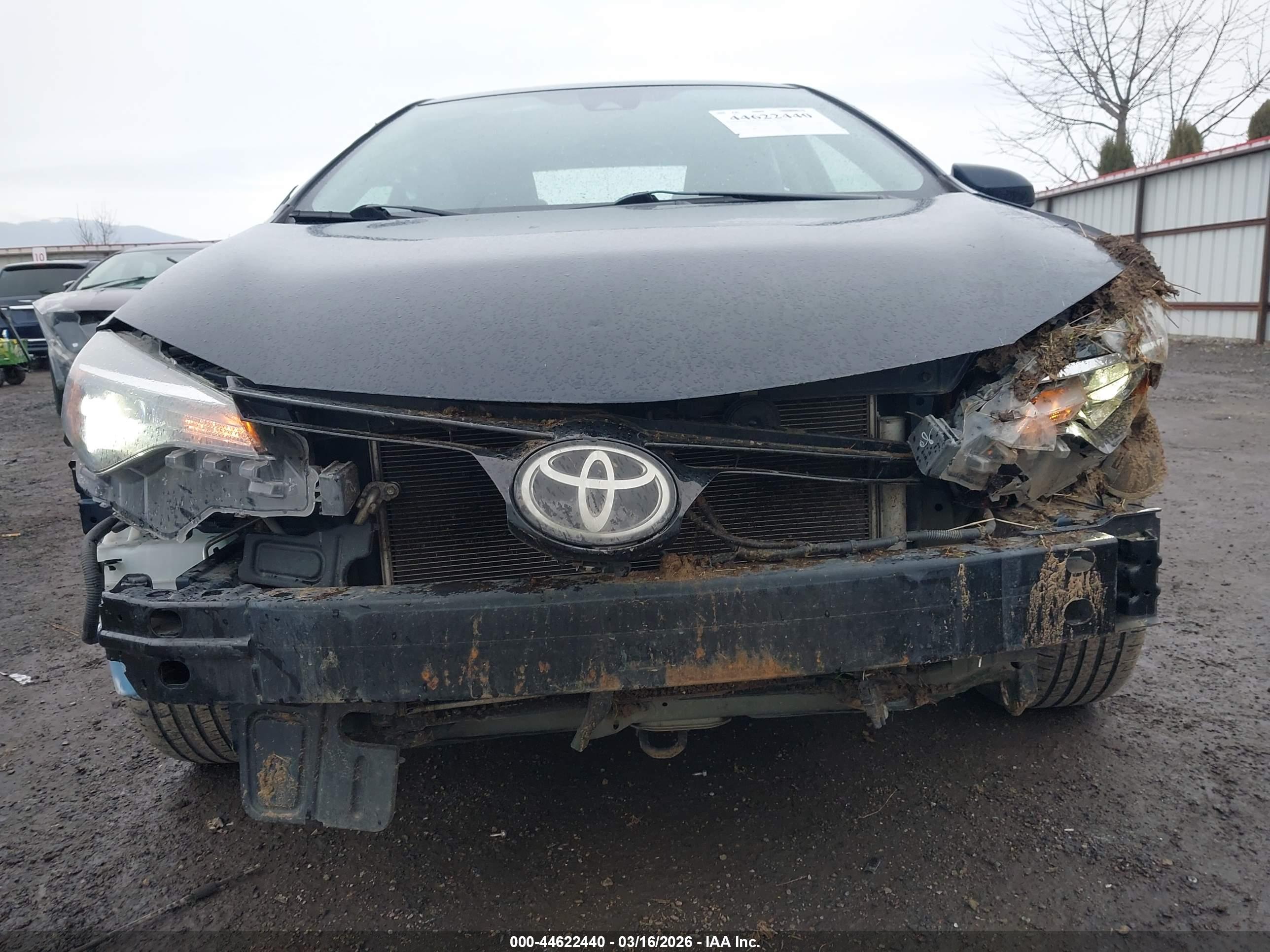 TOYOTA COROLLA image 6