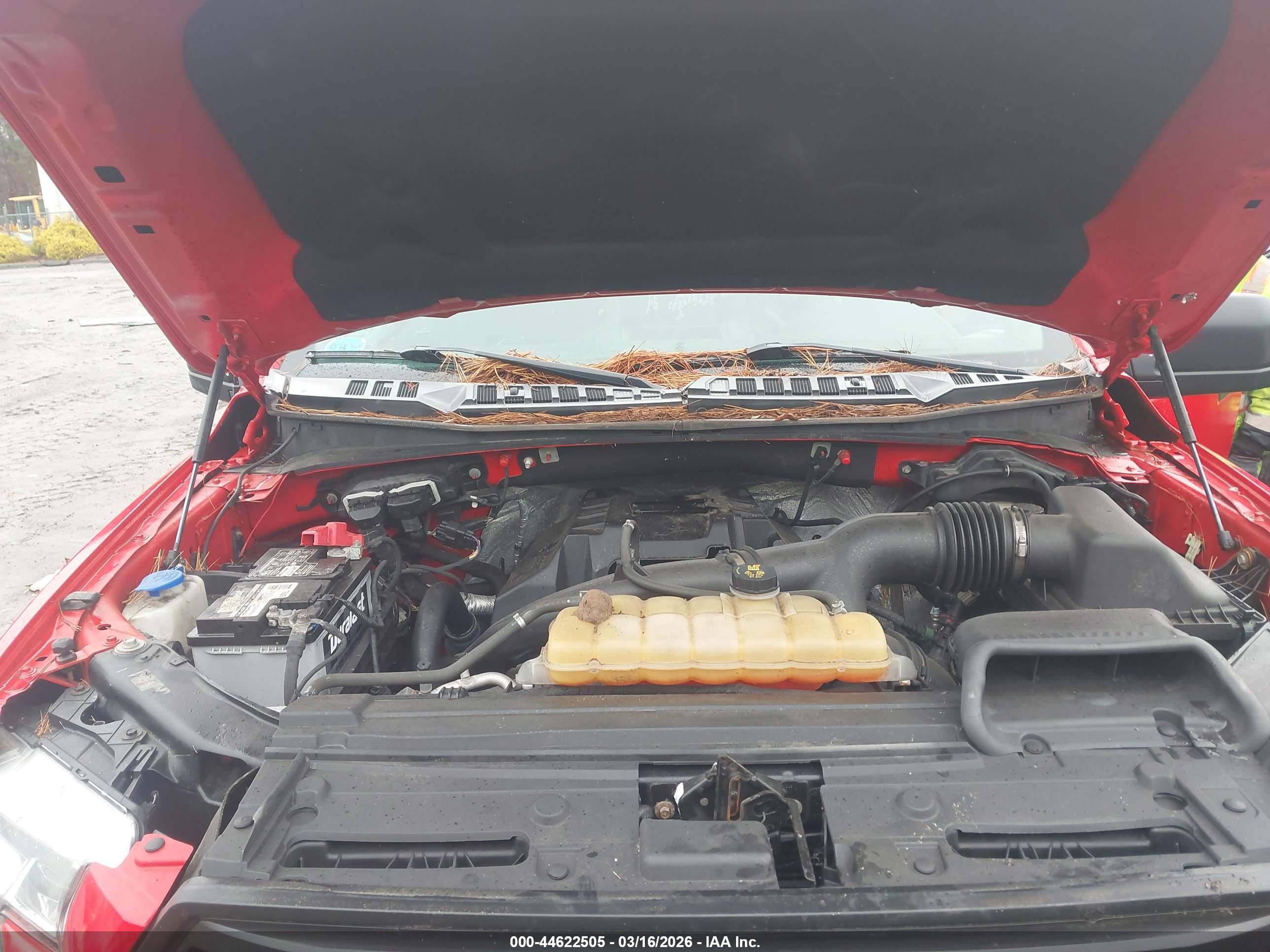 FORD F-150 image 10