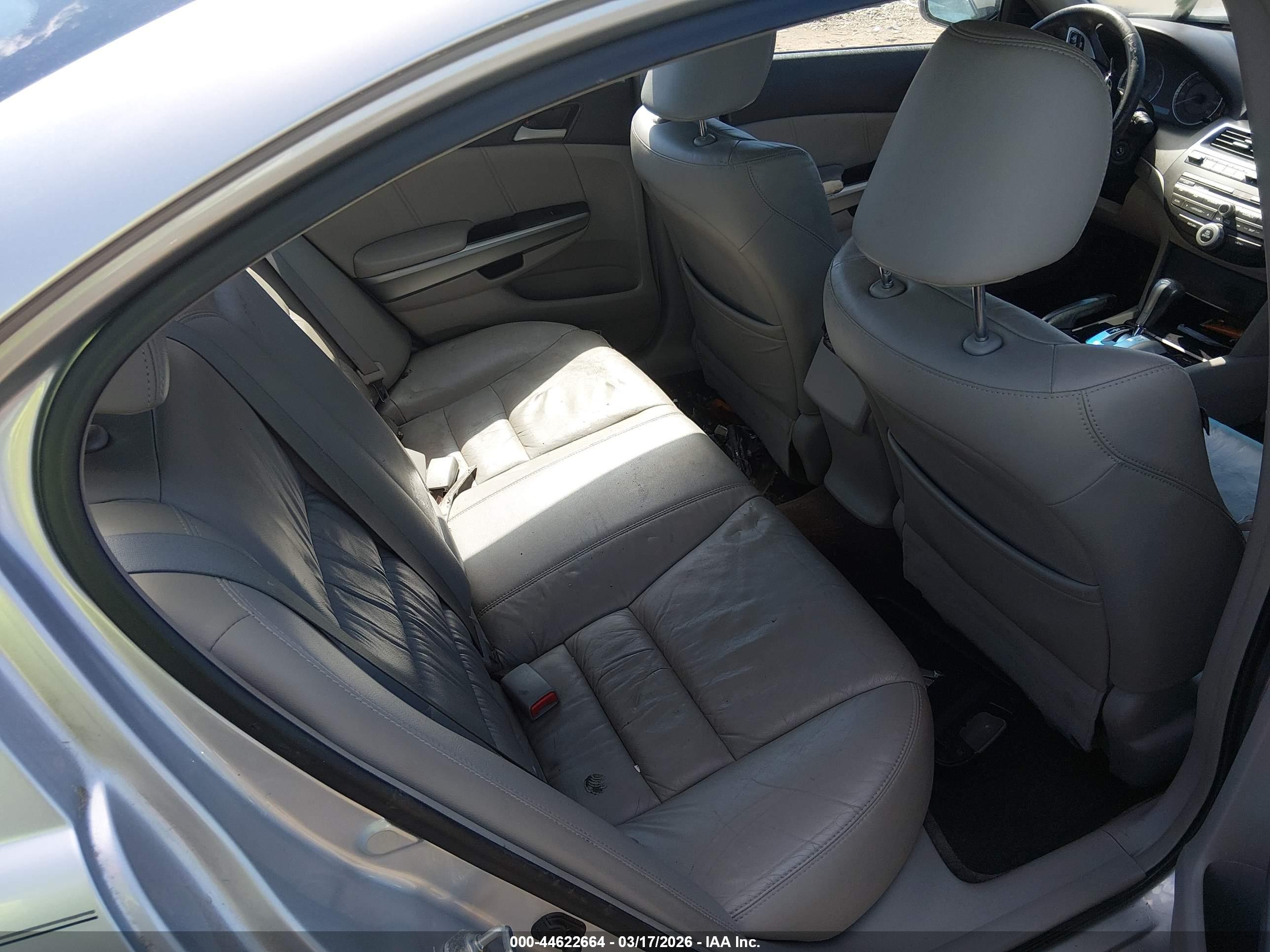 HONDA ACCORD image 8