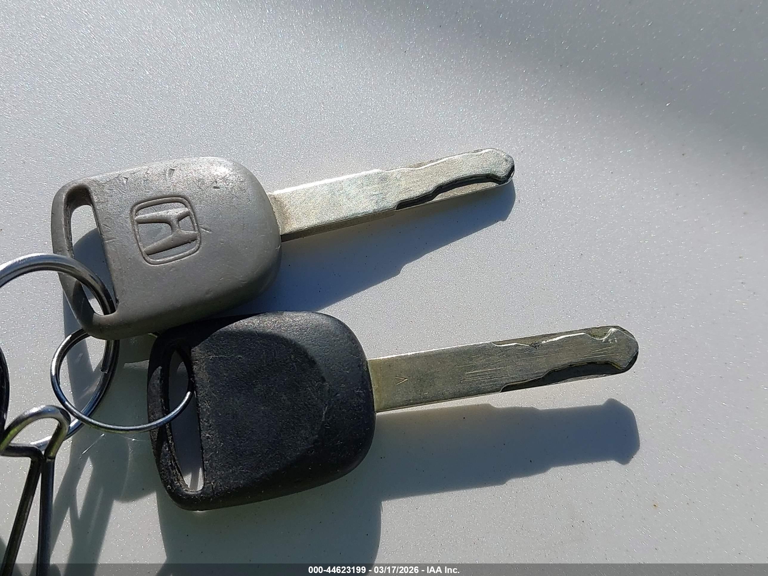 HONDA ODYSSEY image 11