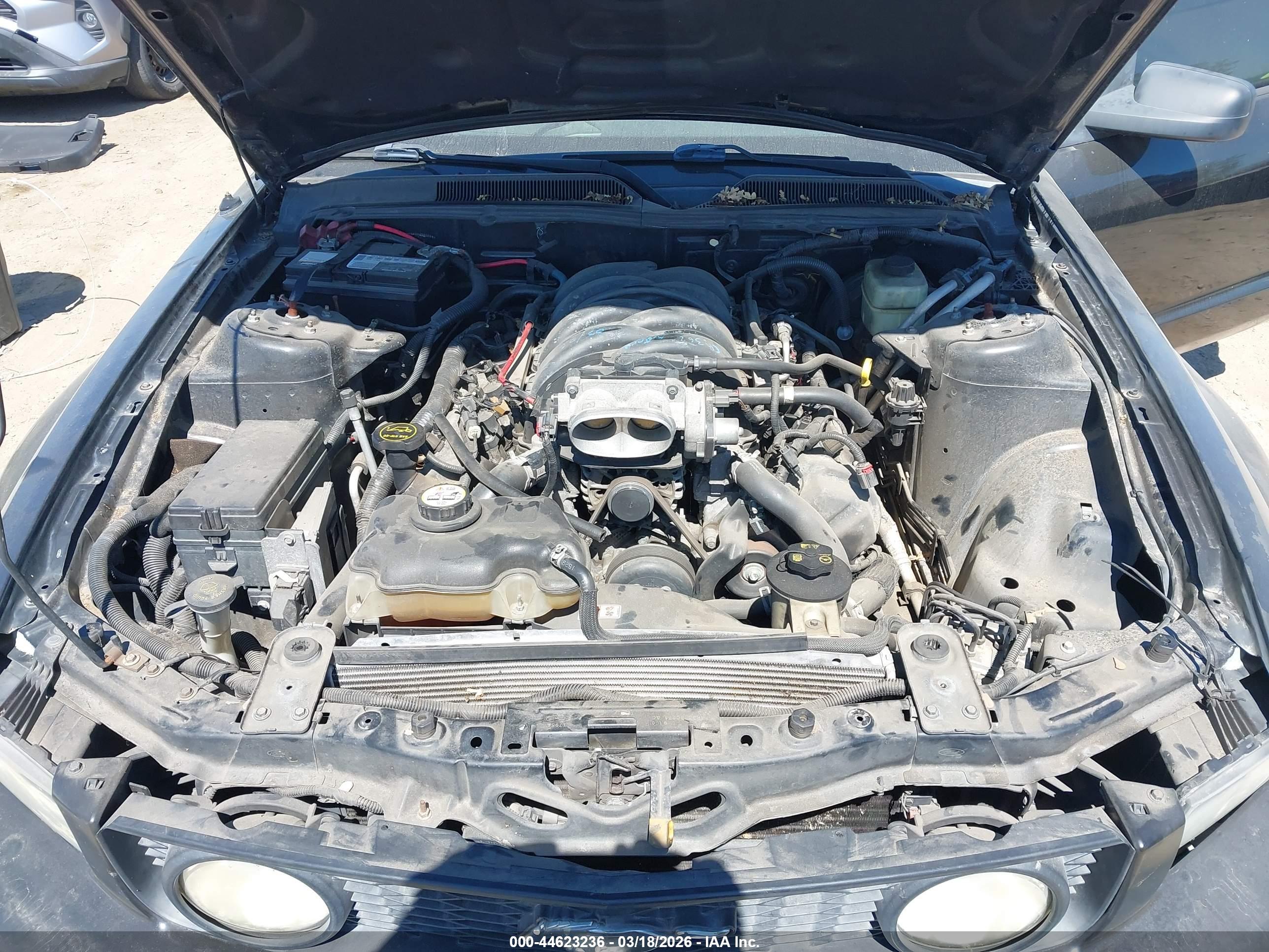 FORD MUSTANG image 10