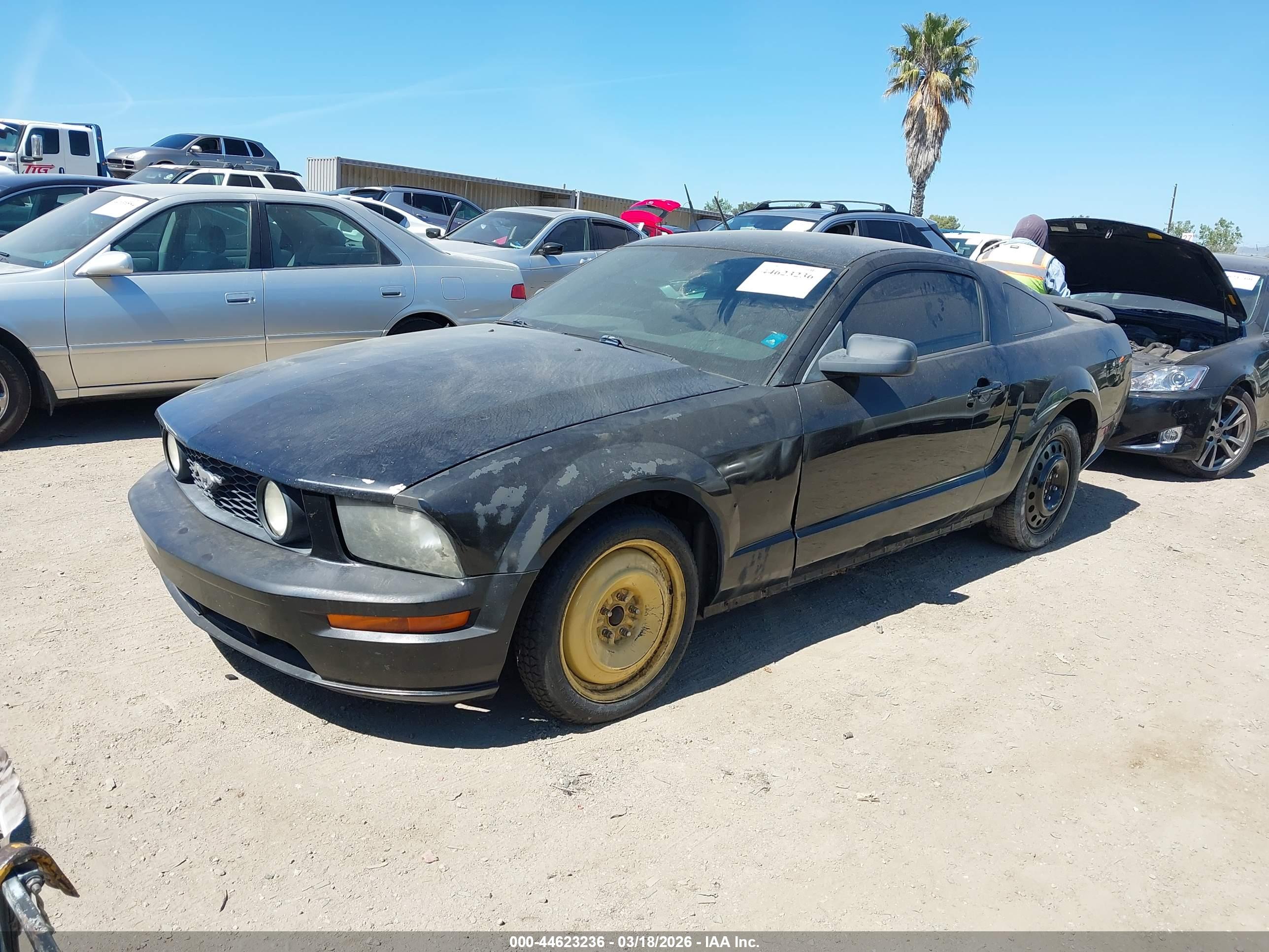 FORD MUSTANG image 2