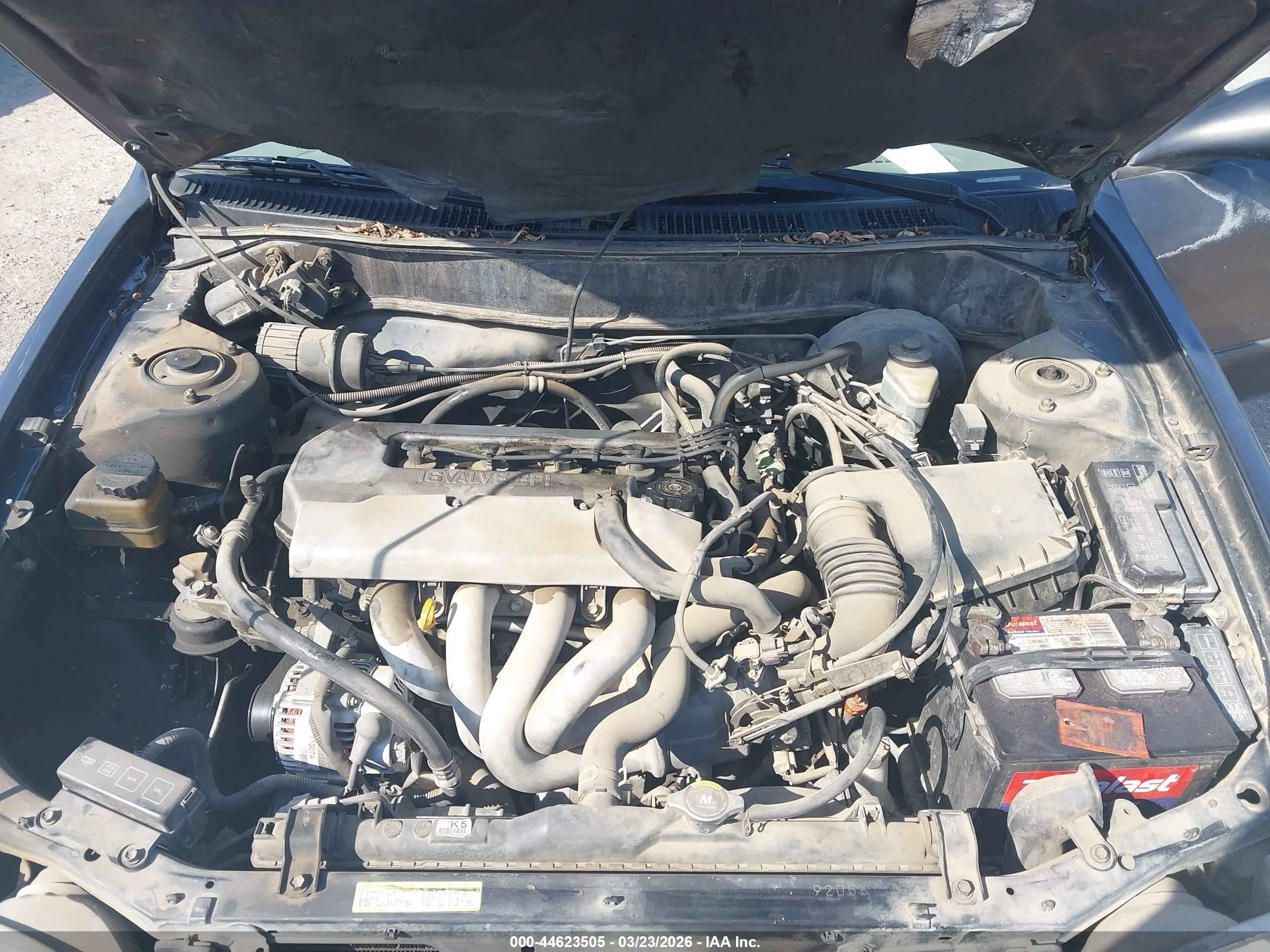 TOYOTA COROLLA image 10