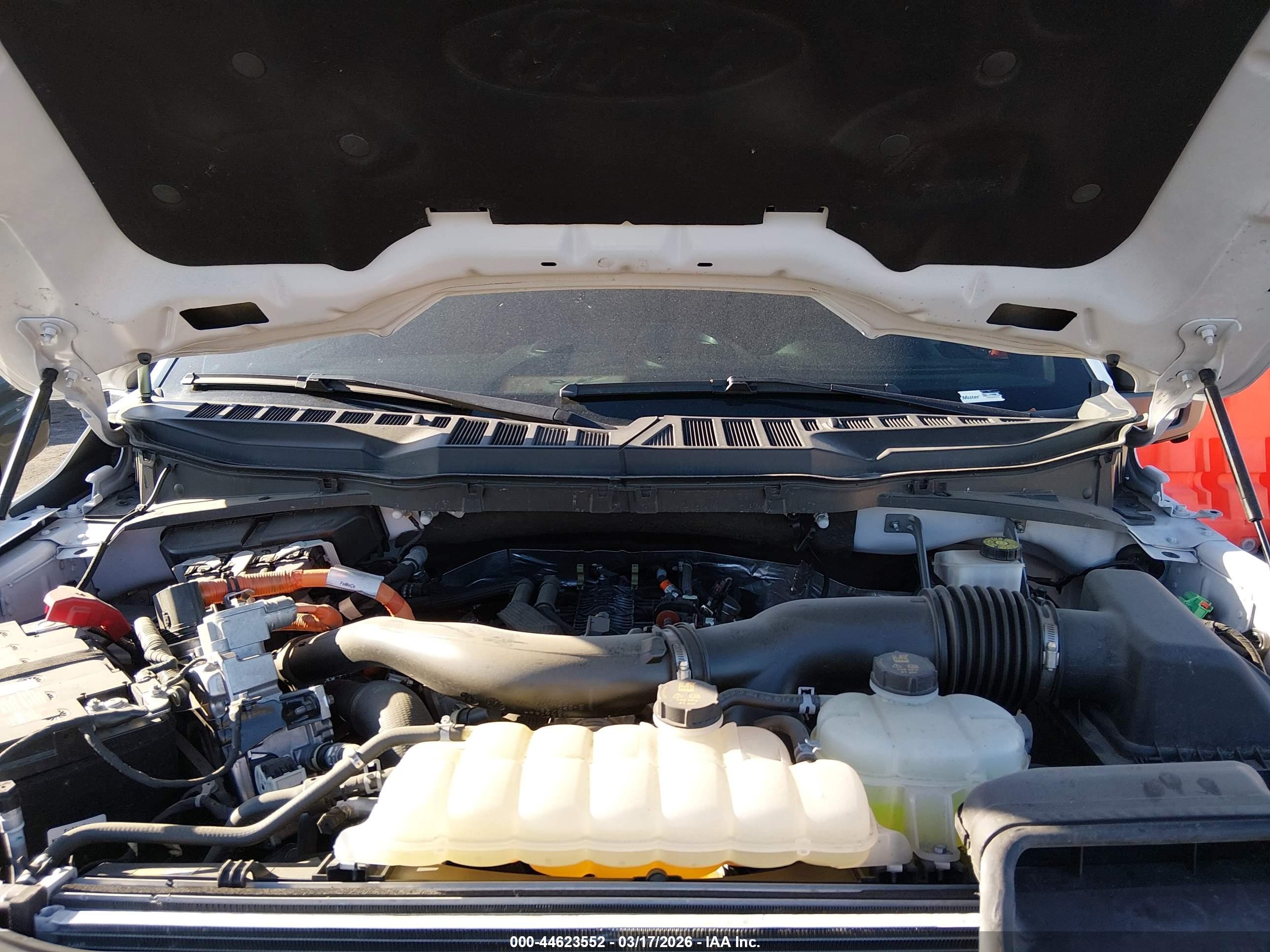 FORD F-150 image 10