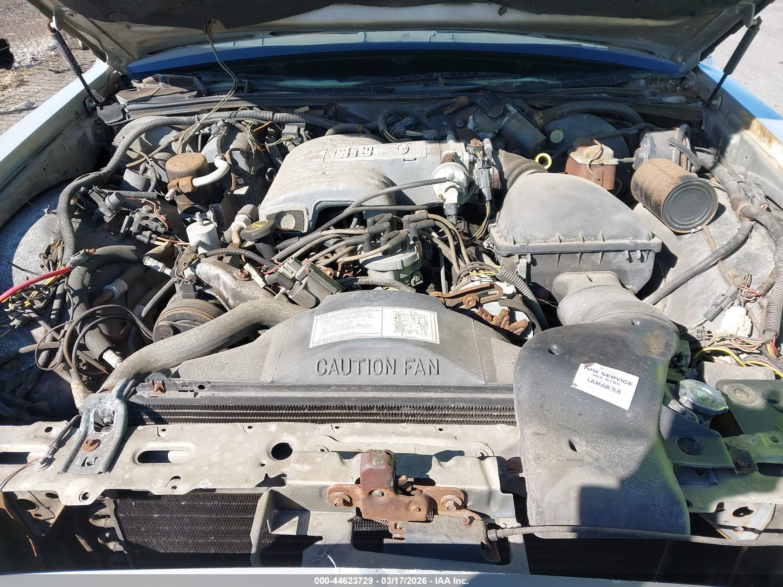 LINCOLN TOWN image 10