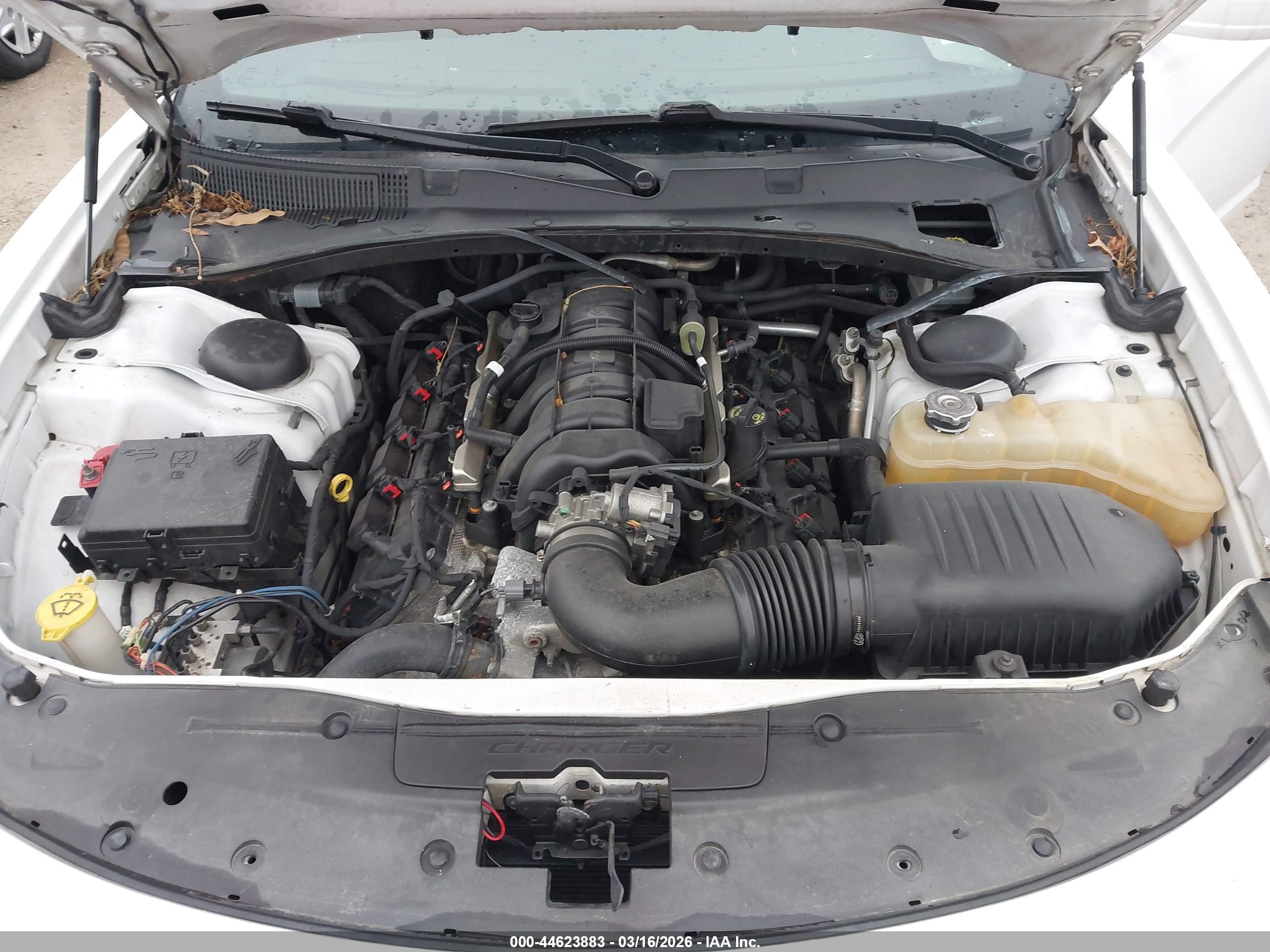 DODGE CHARGER image 10