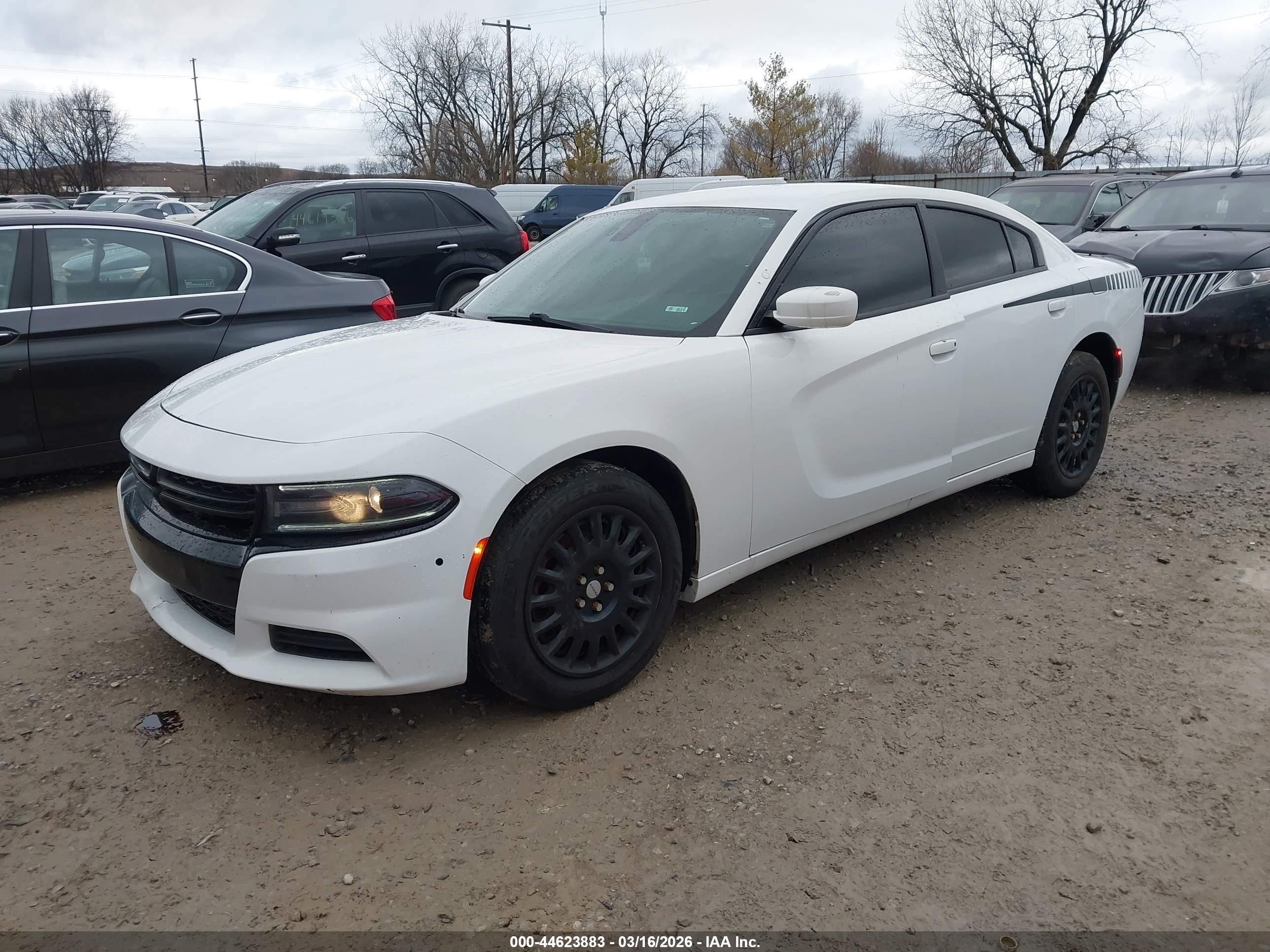 DODGE CHARGER image 2