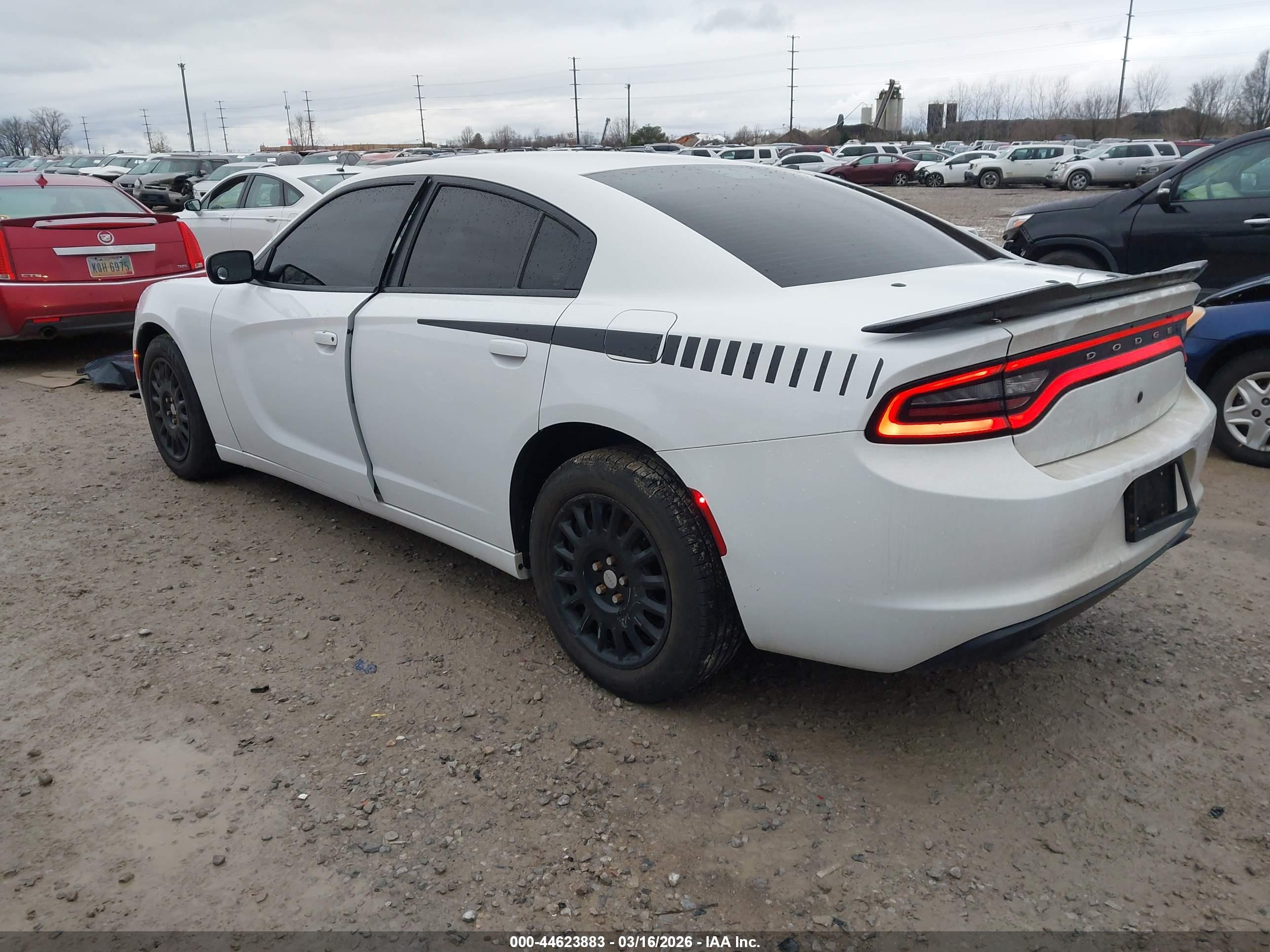 DODGE CHARGER image 3