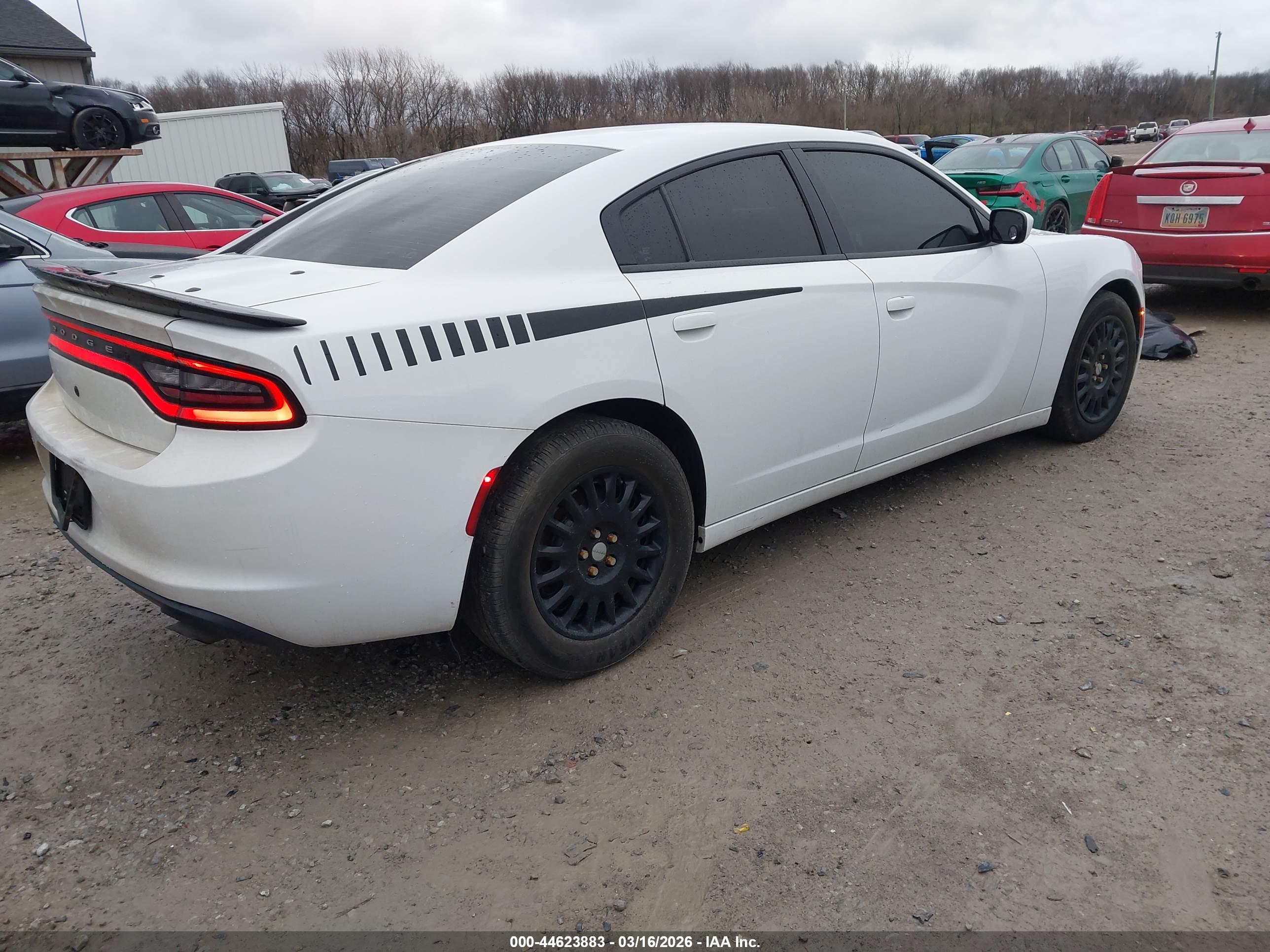 DODGE CHARGER image 4