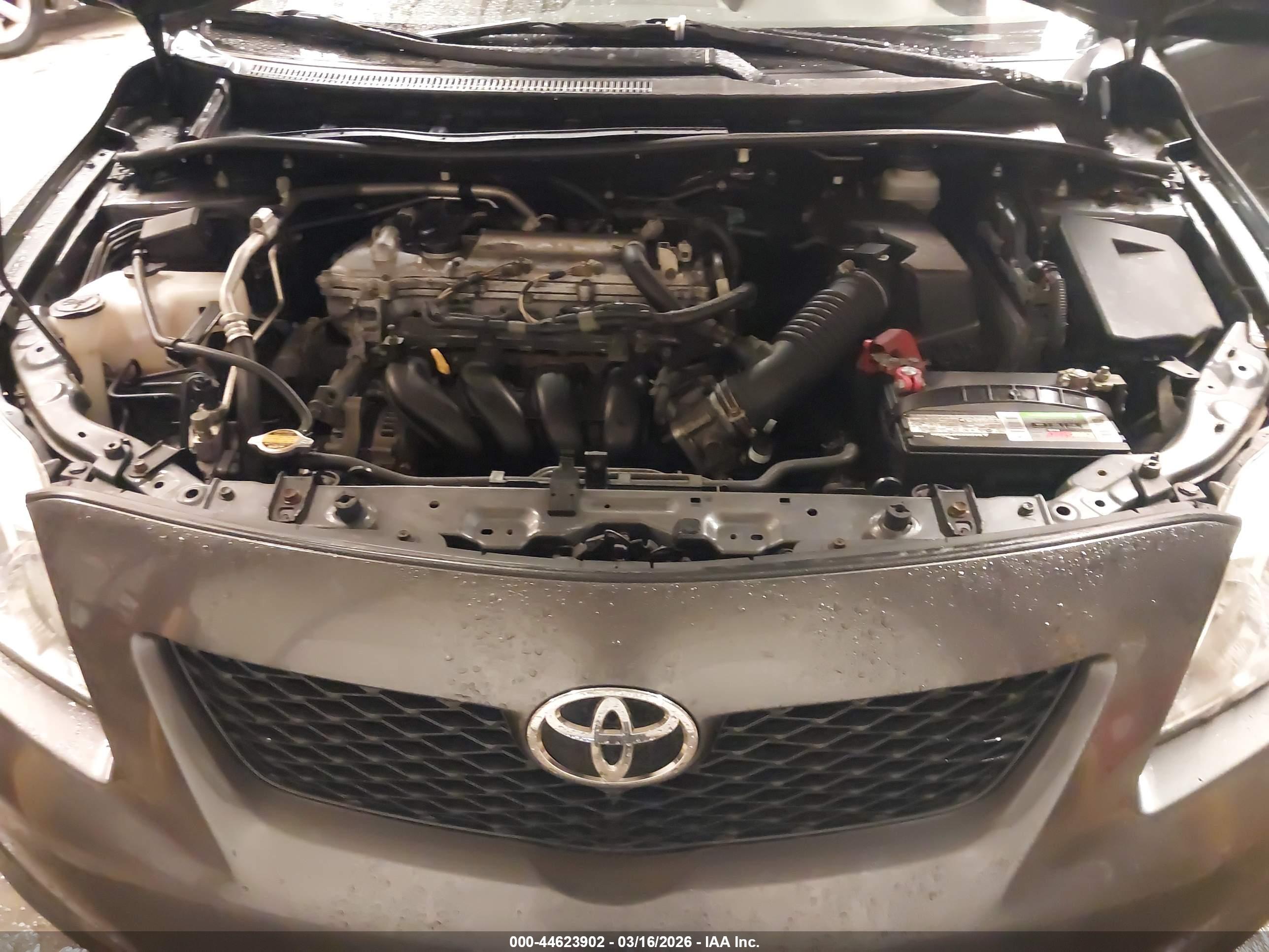 TOYOTA COROLLA image 10