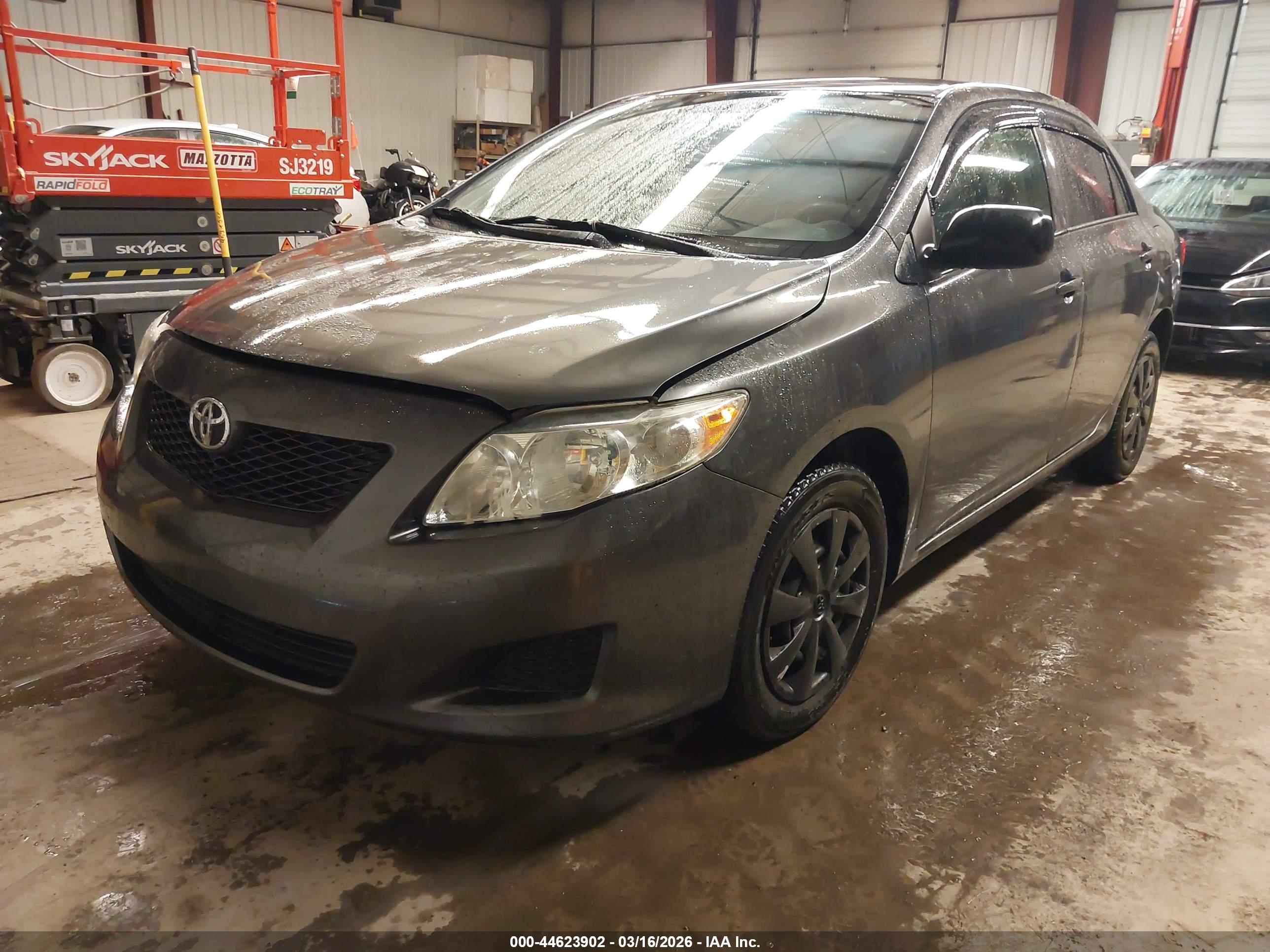 TOYOTA COROLLA image 2