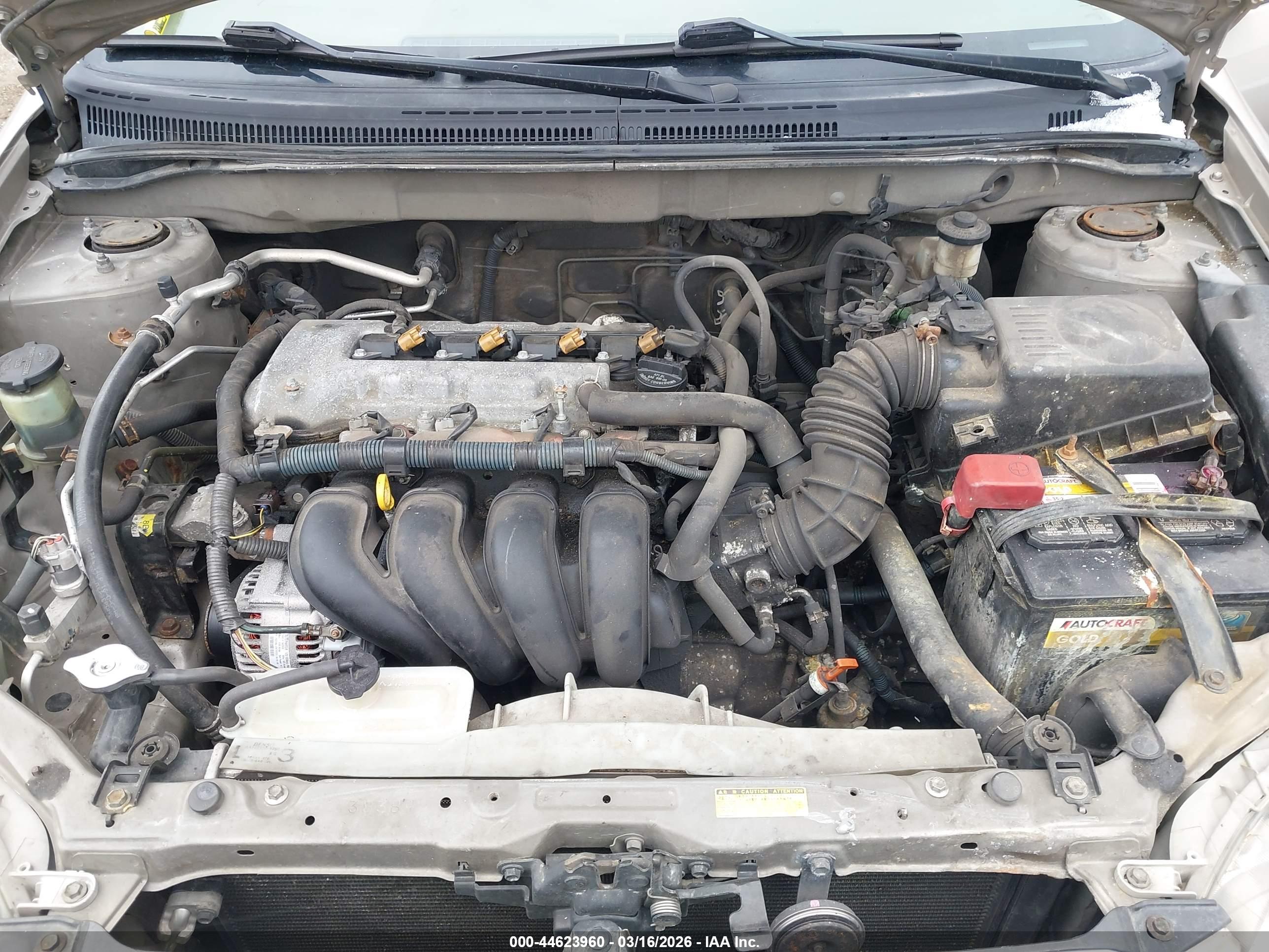 TOYOTA COROLLA image 10