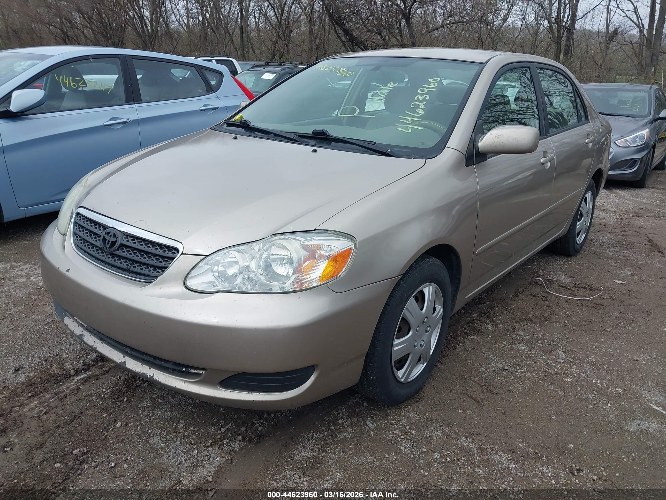 TOYOTA COROLLA image 2