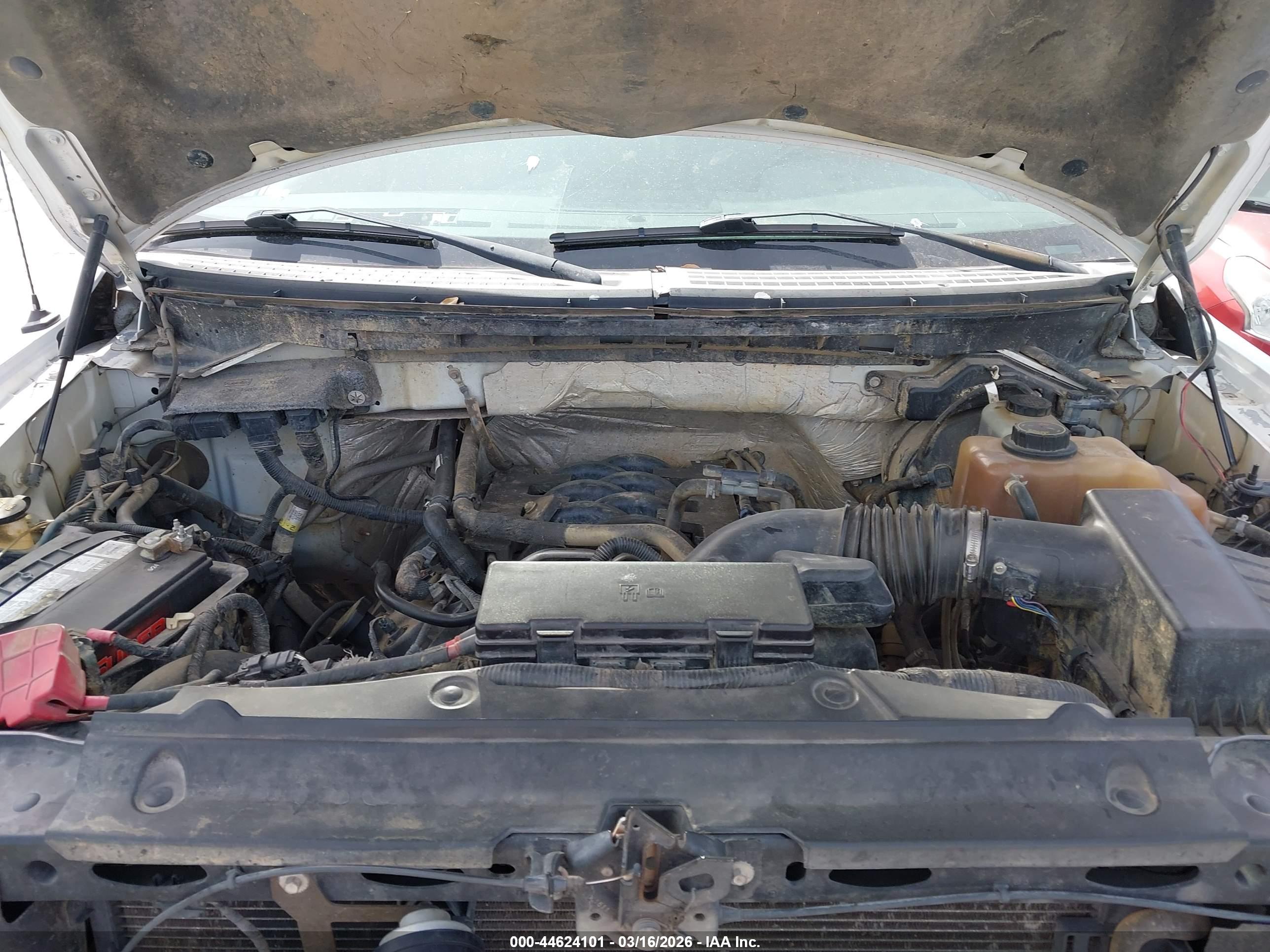 FORD F-150 image 10